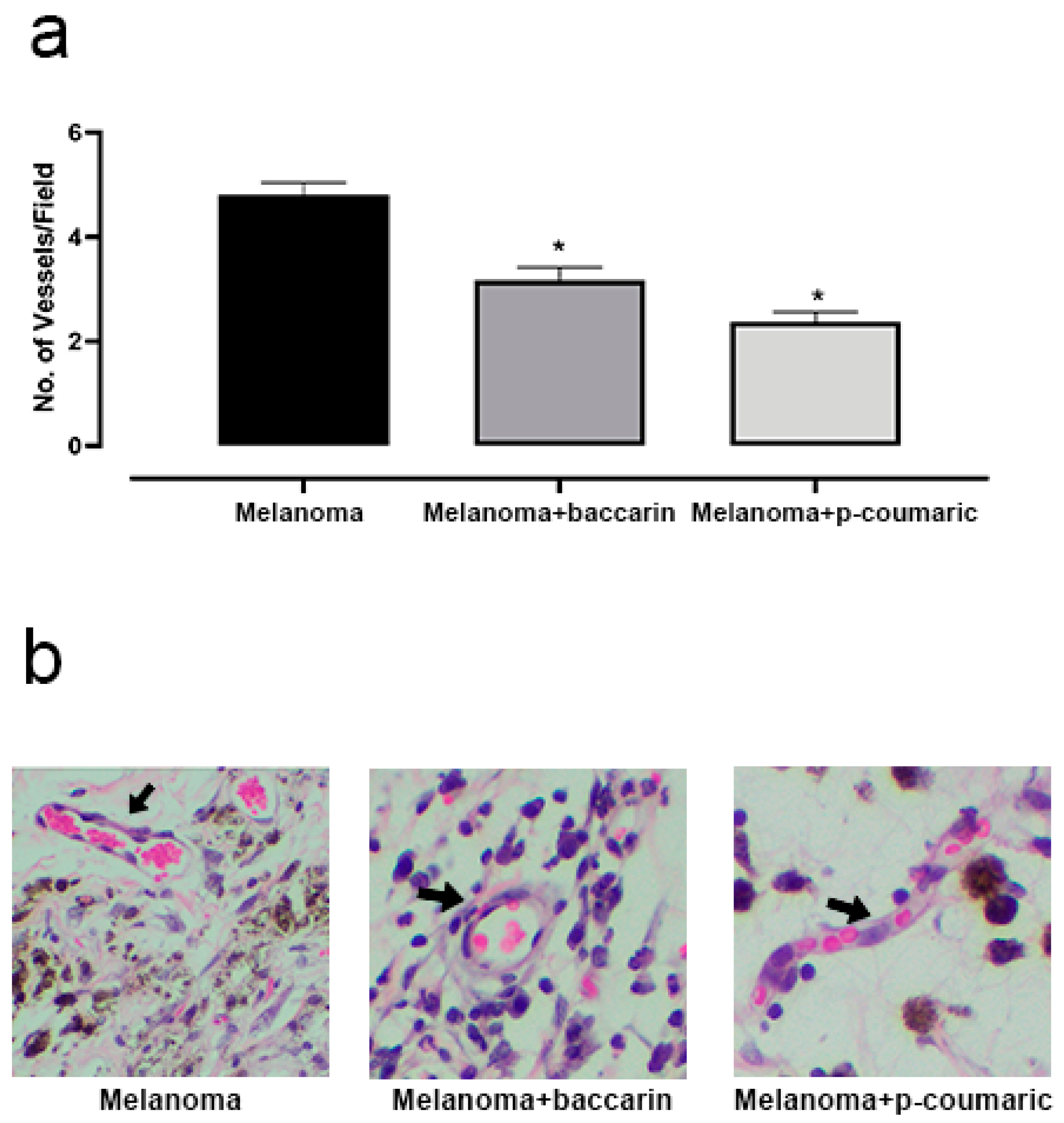 Medicines 08 00020 g003
