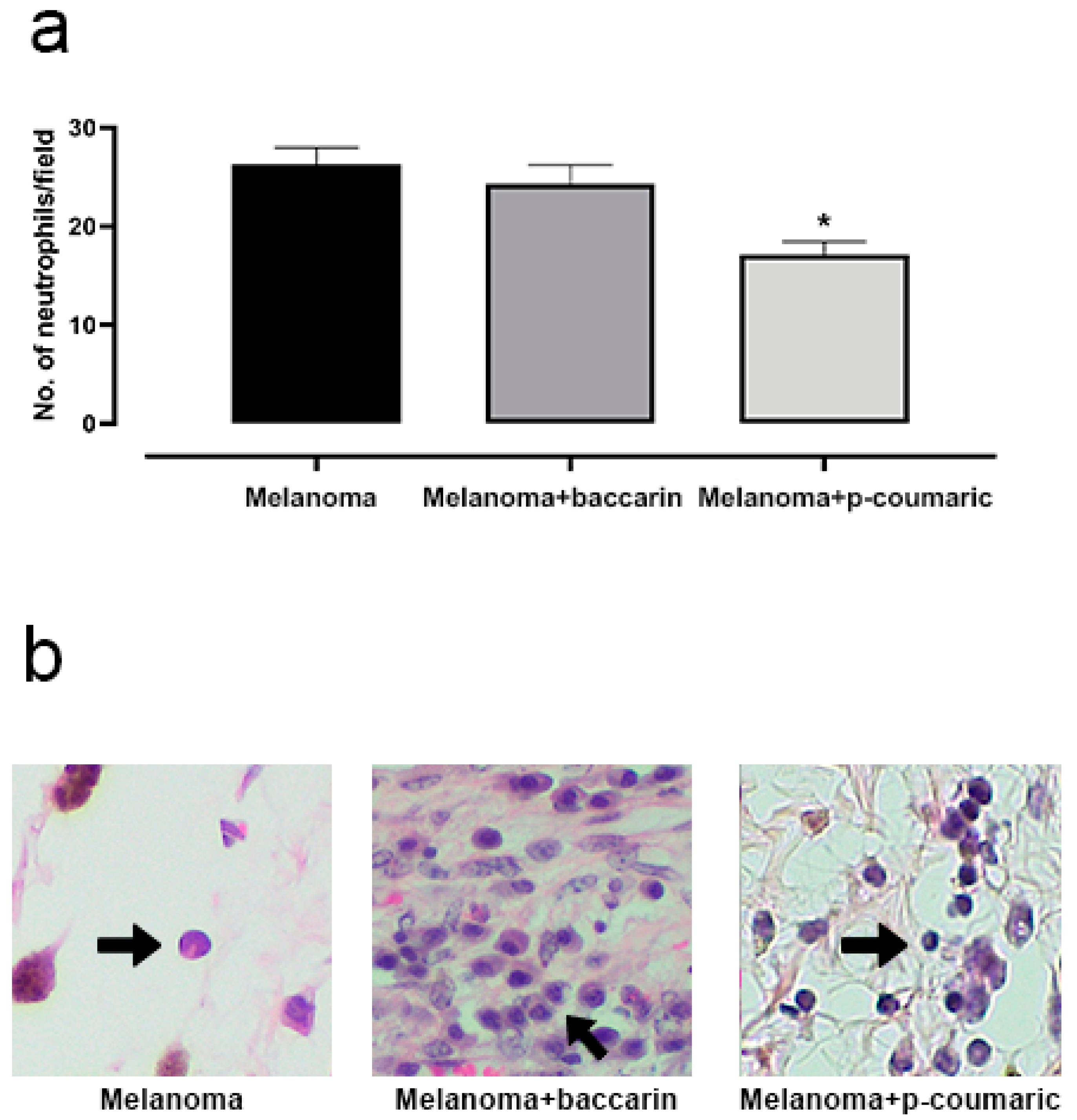 Medicines 08 00020 g004