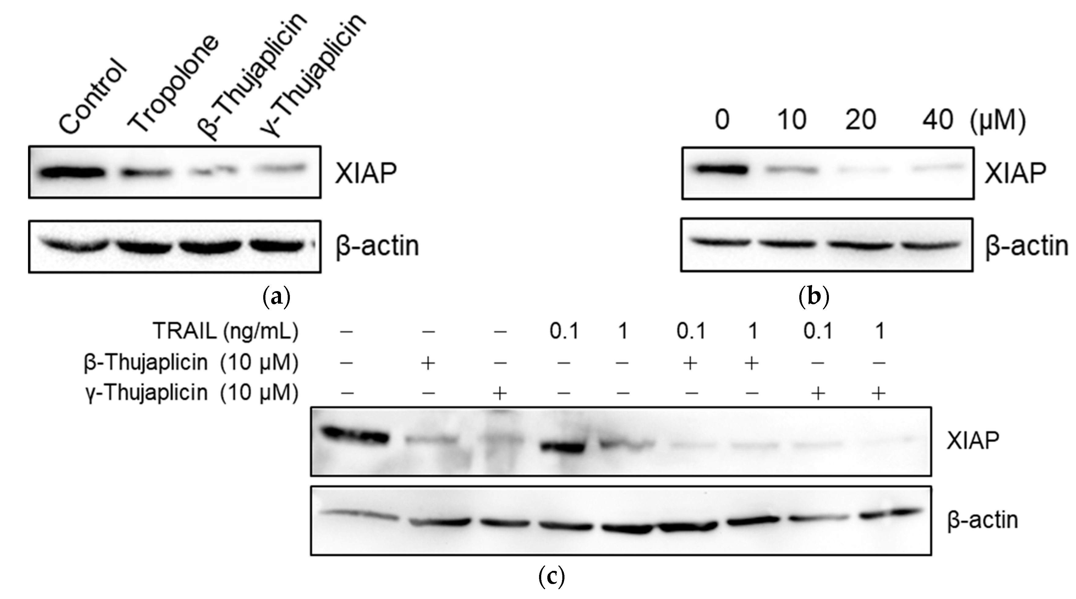 Medicines 08 00026 g006 Medicines 08 00026 g006