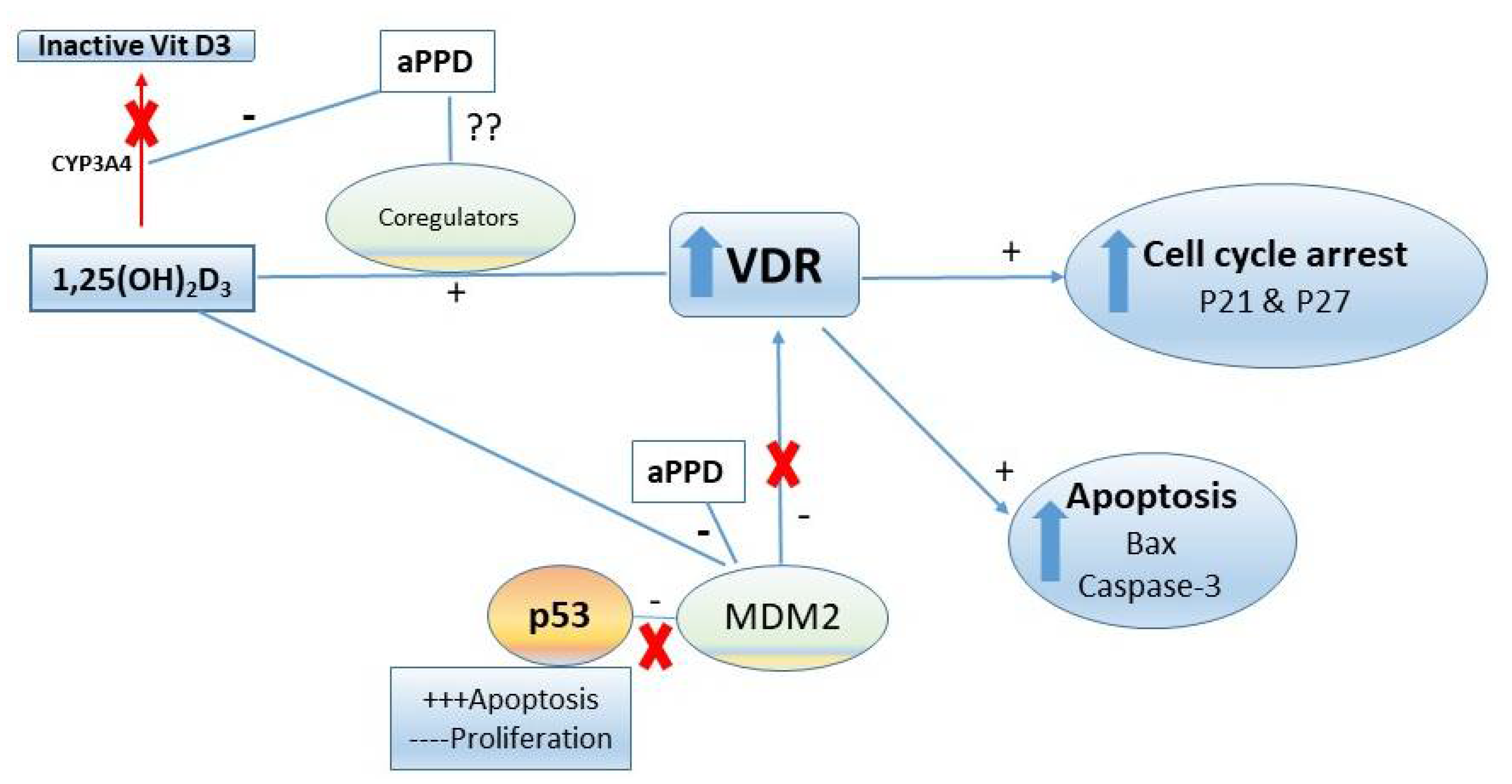 Medicines 08 00028 g007