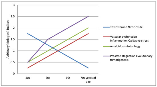 Prostate fibrosis Mi az