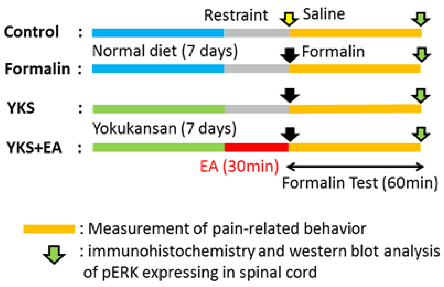 Medicines 08 00031 g001