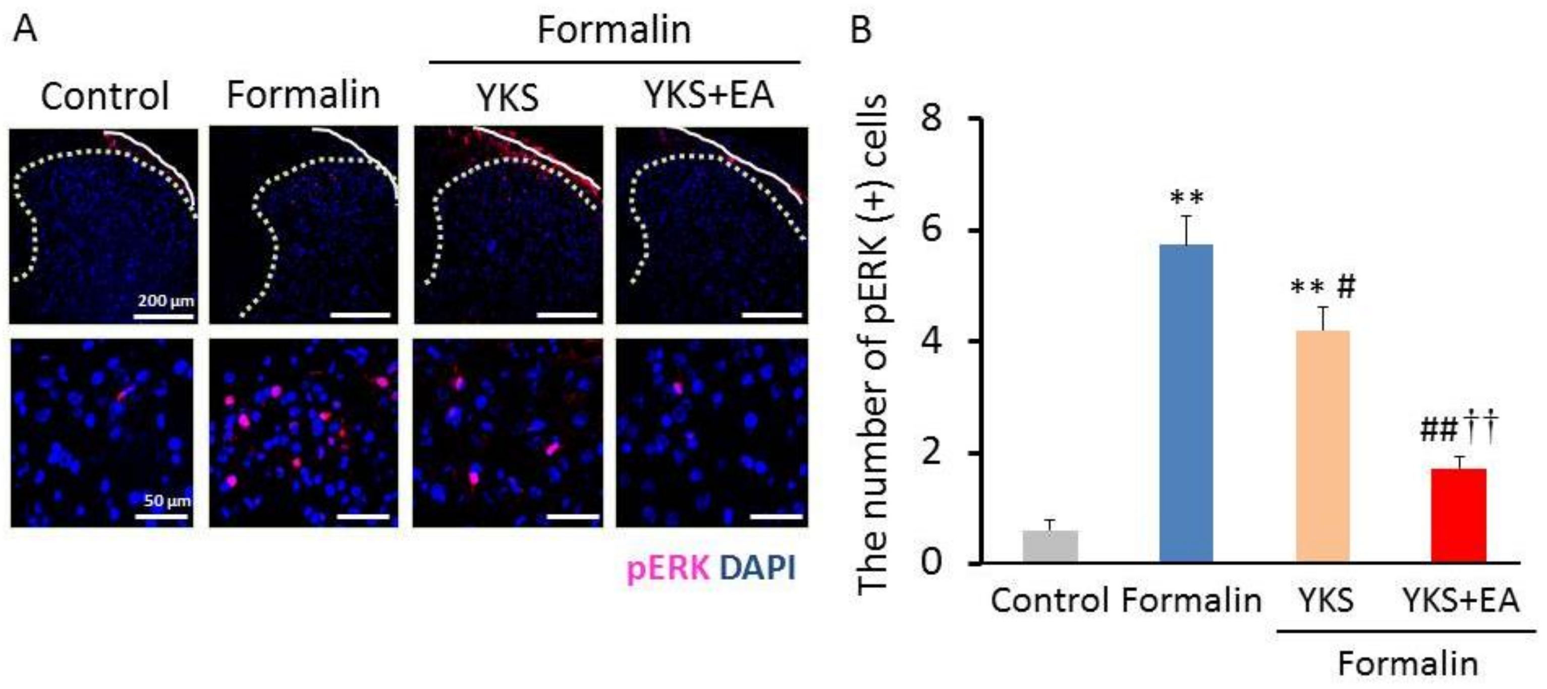 Medicines 08 00031 g003