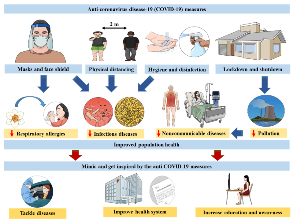 Medicines 08 00049 g001