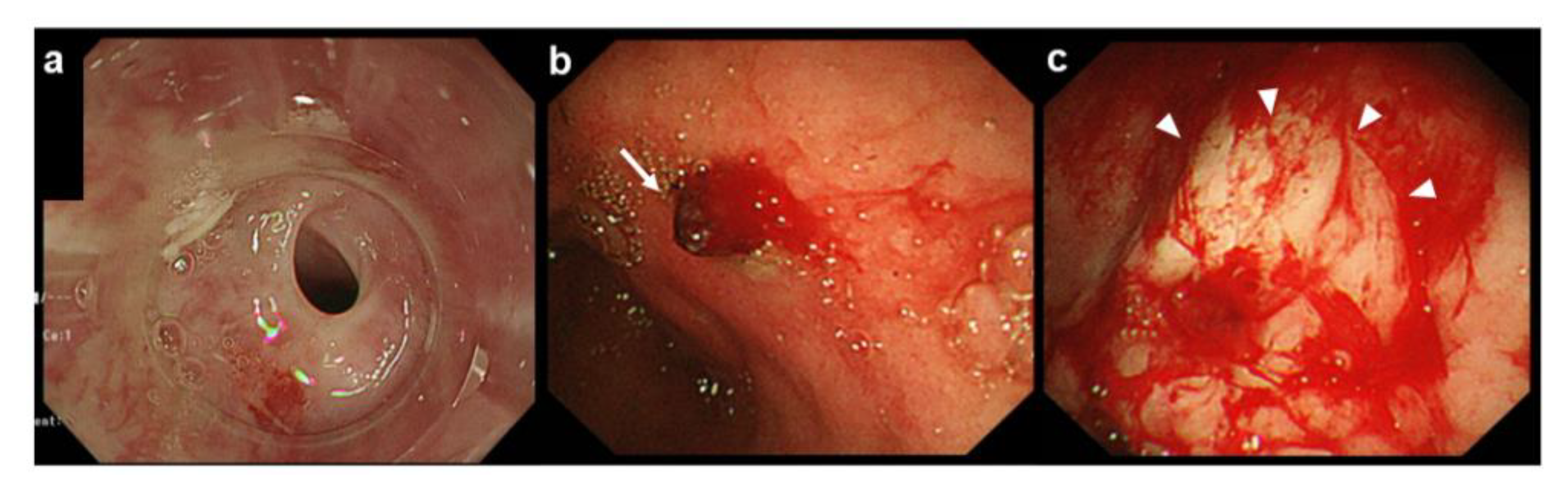 Medicines 08 00053 g002 550