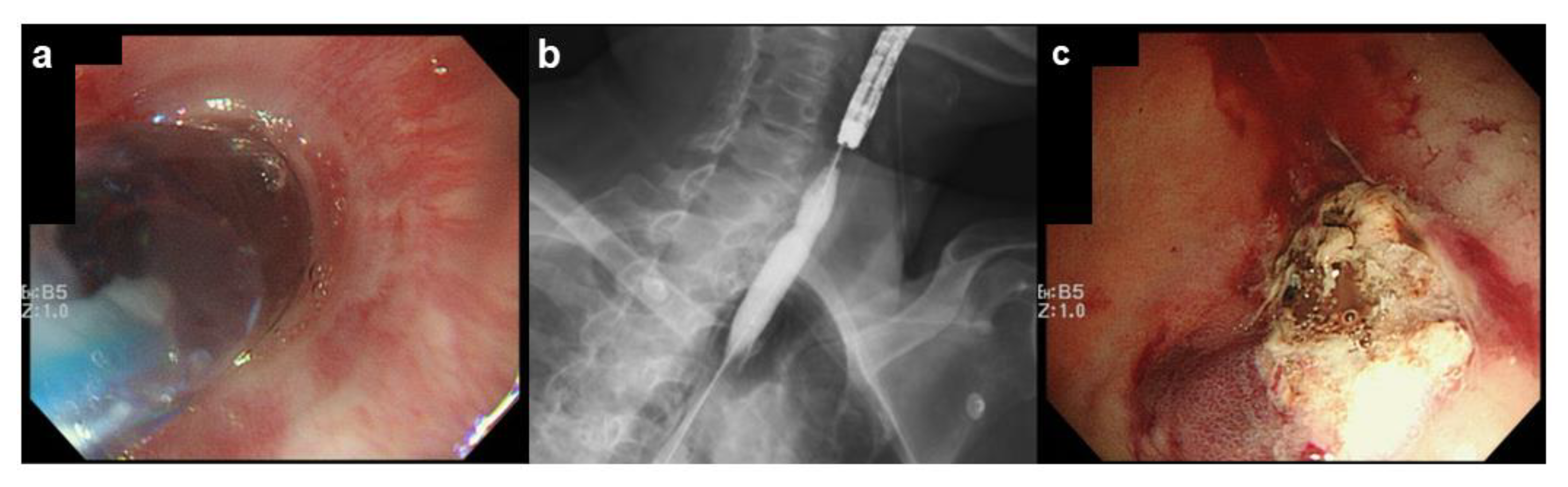 Medicines 08 00053 g003 550