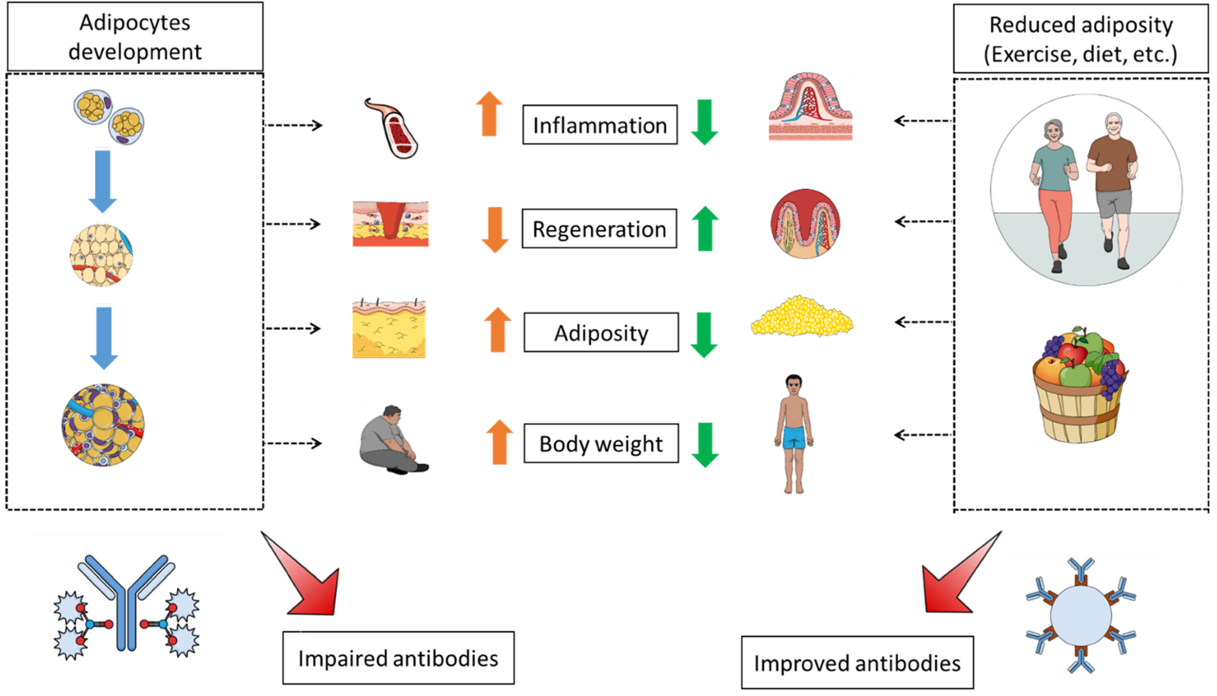 Medicines 08 00057 g001 Medicines 08 00057 g001