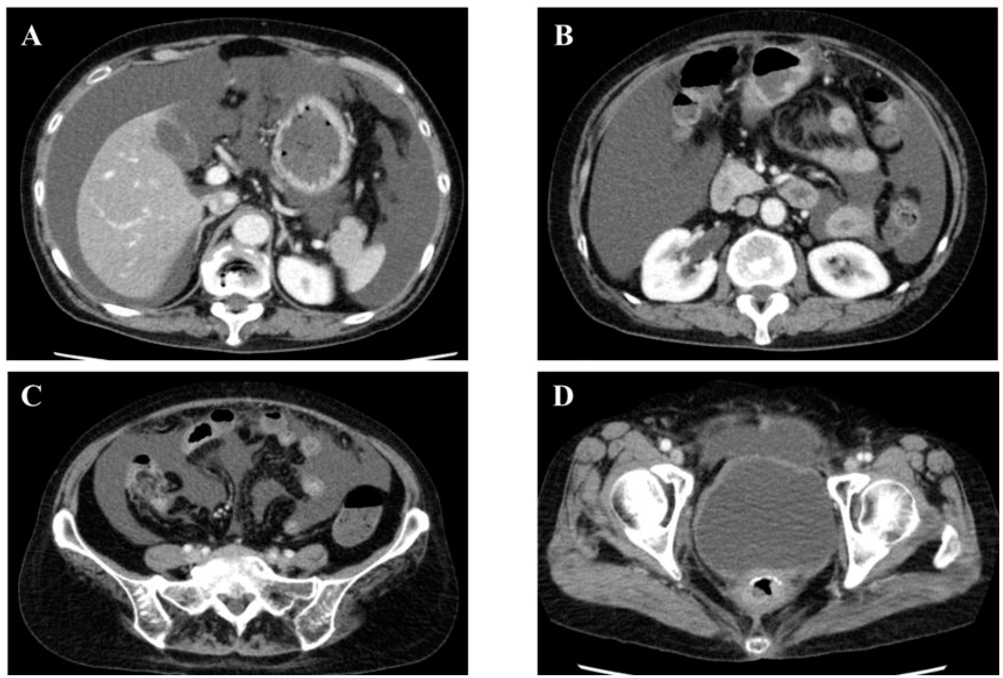 Medicines 08 00067 g001