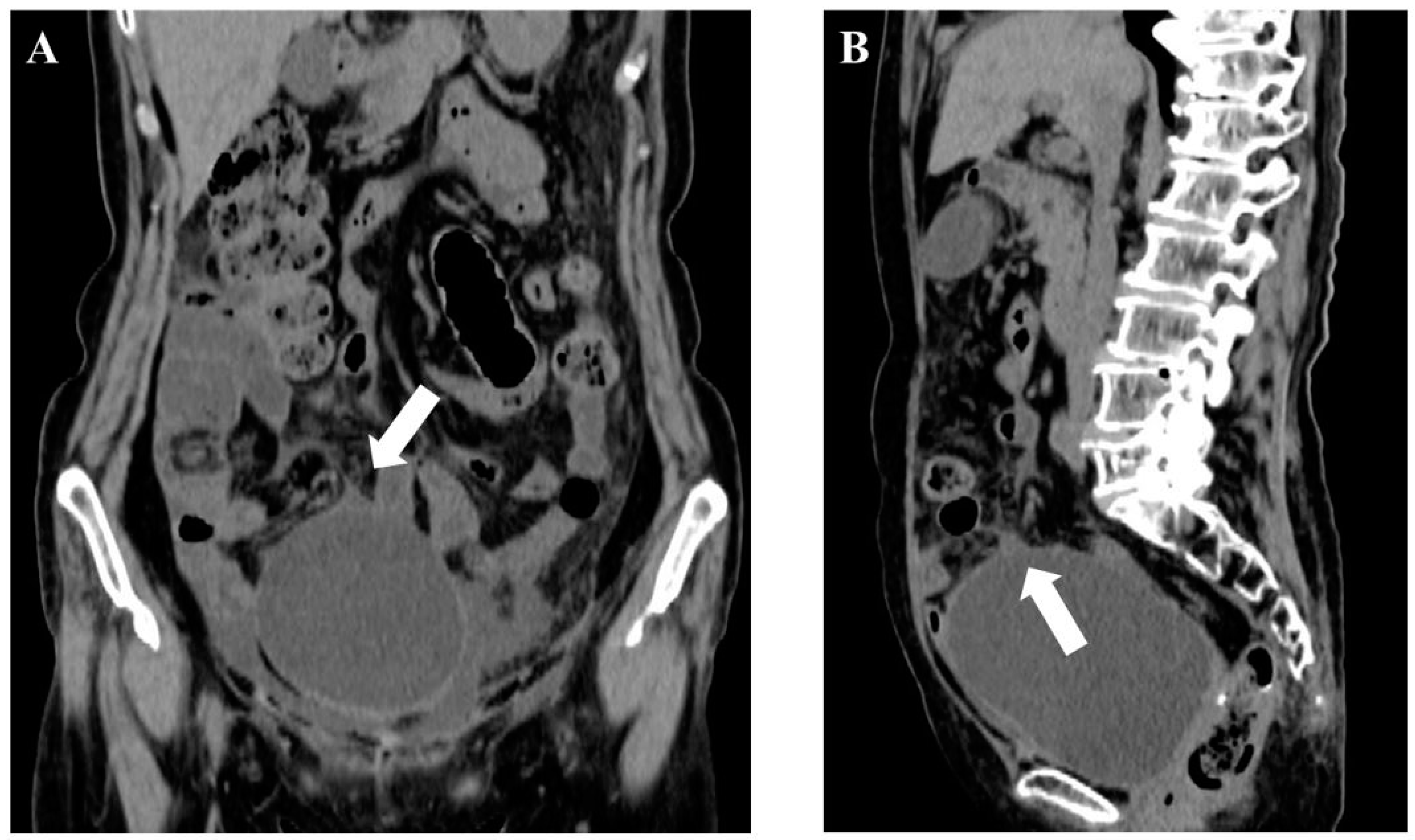 Medicines 08 00067 g002