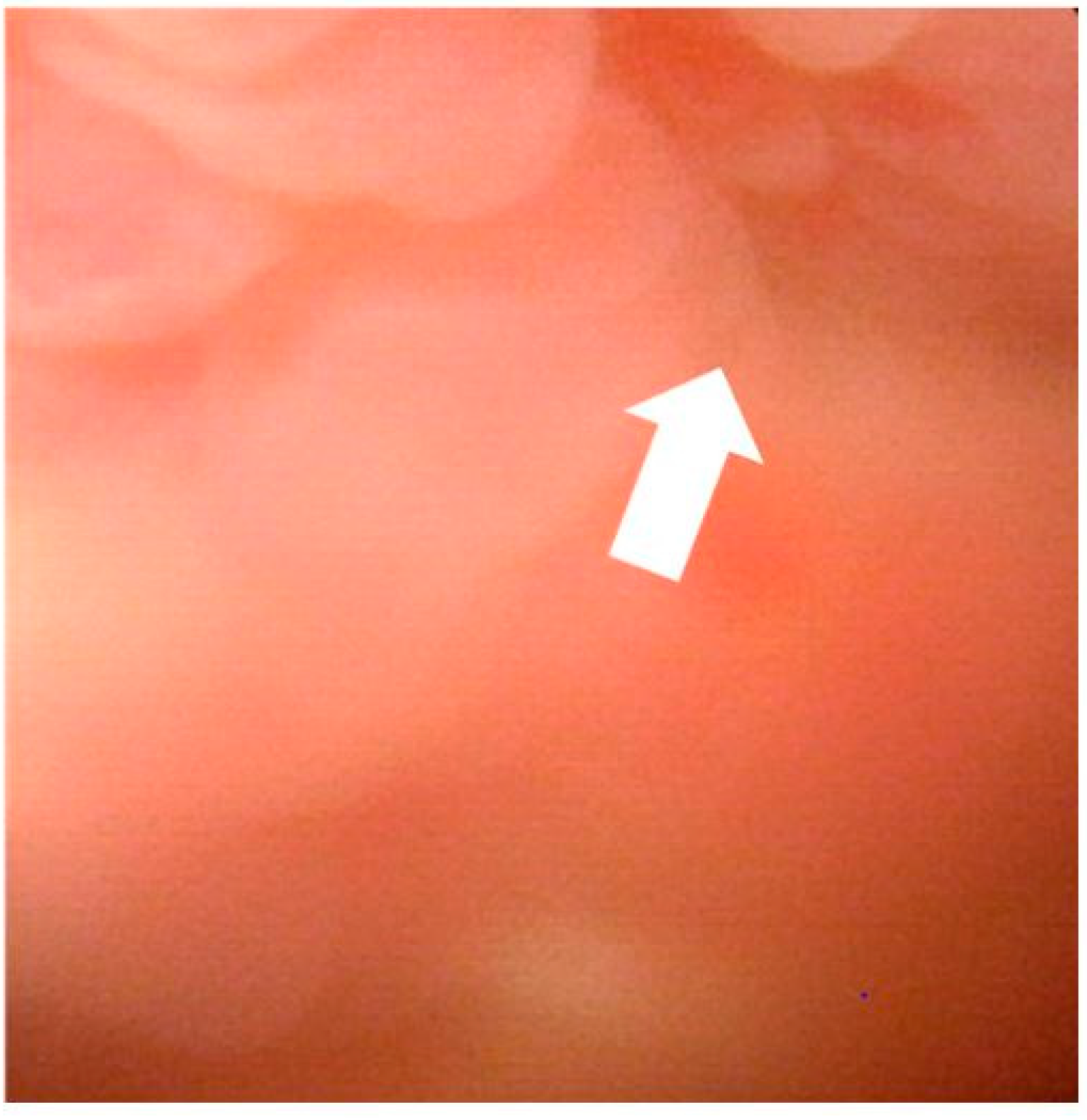 Medicines 08 00067 g003