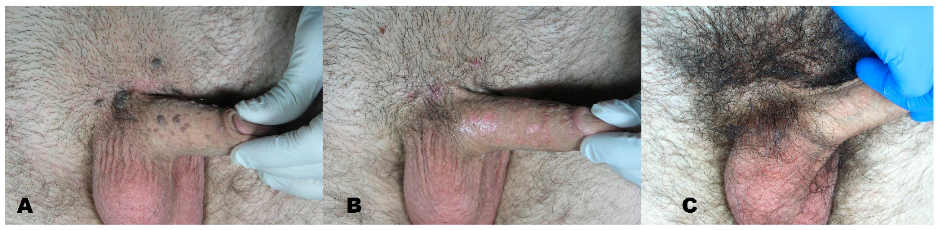 Medicines 08 00074 g009 550