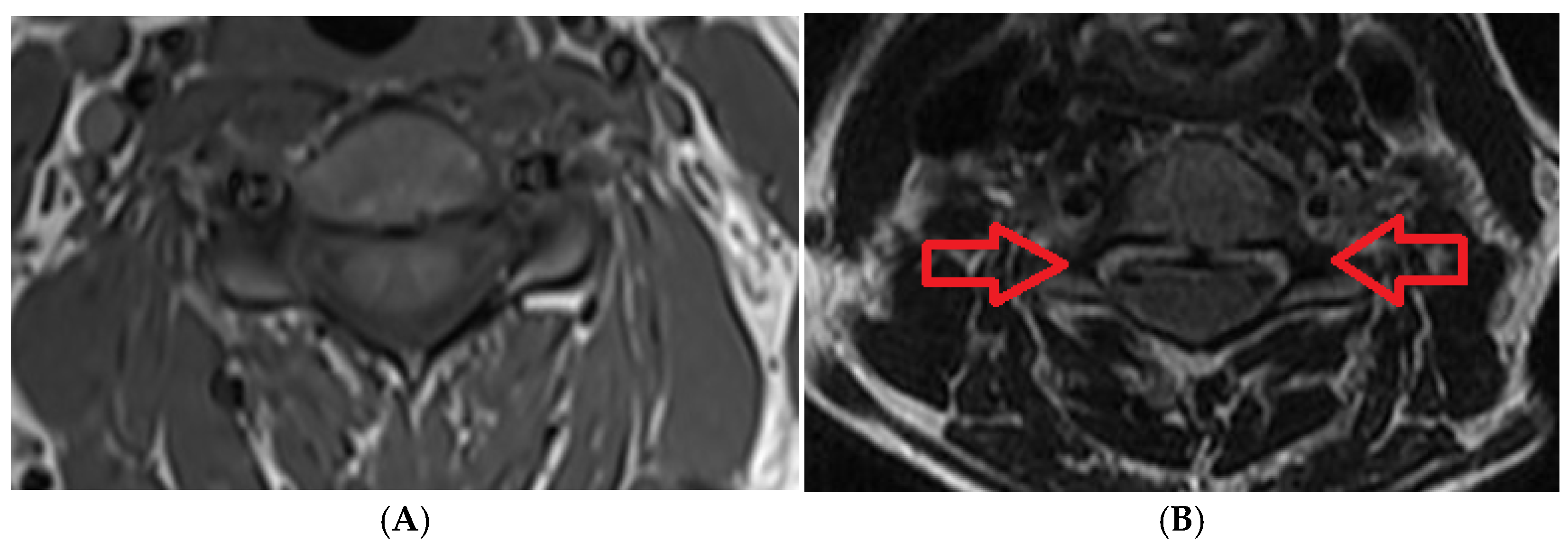 Medicines 08 00077 g006 550