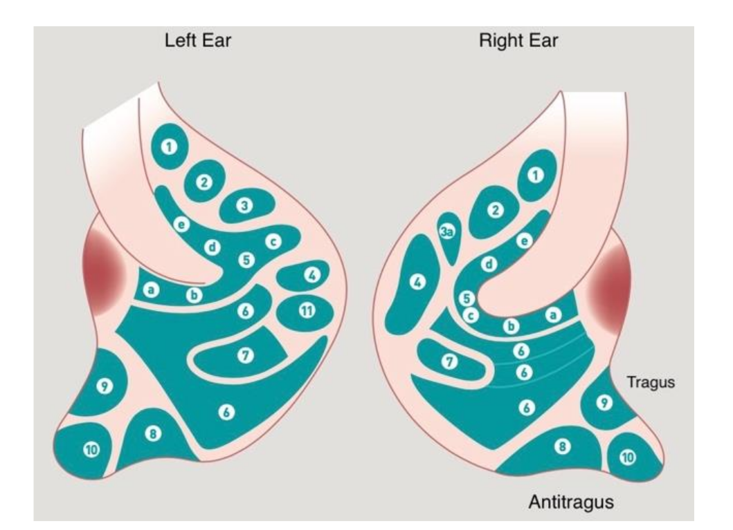 Medicines 09 00013 g002 550