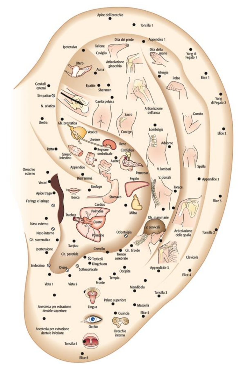 Medicines 09 00013 g003 550