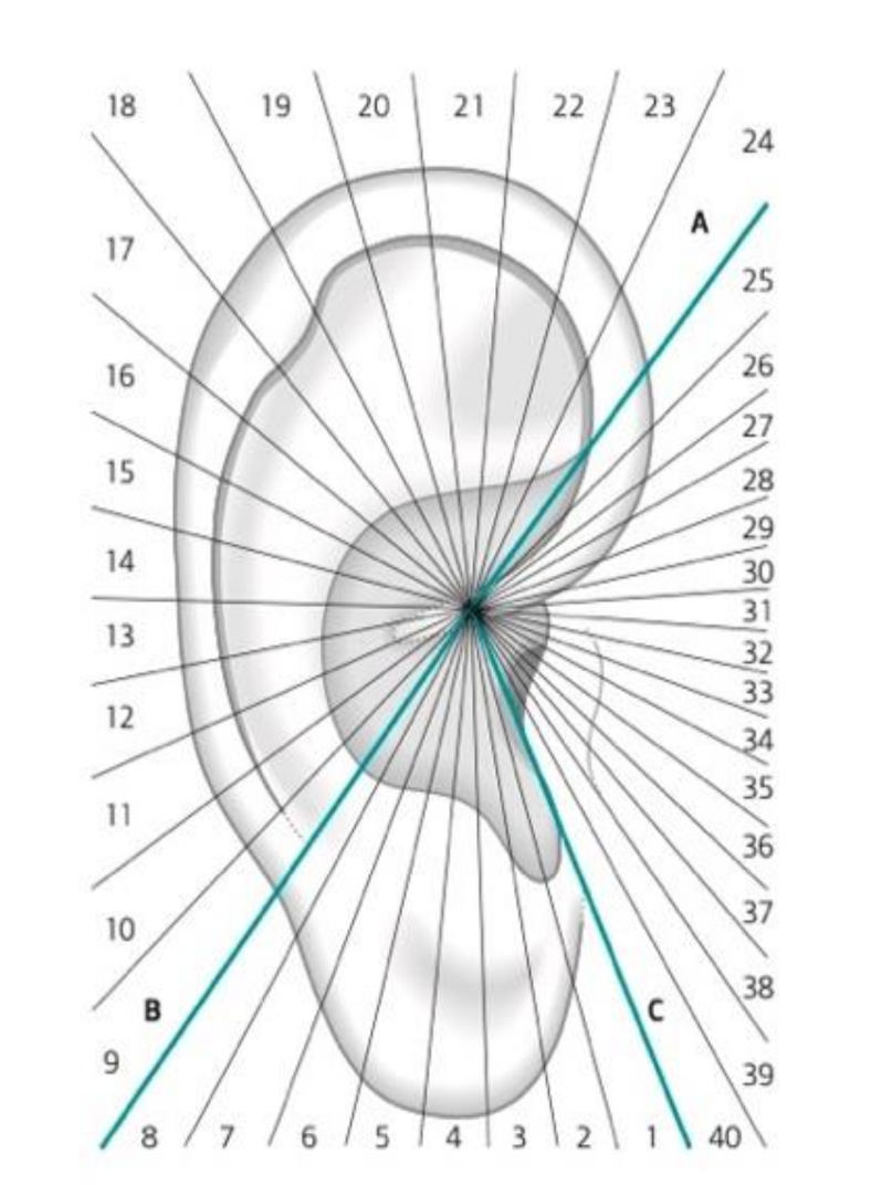 Medicines 09 00013 g005 550