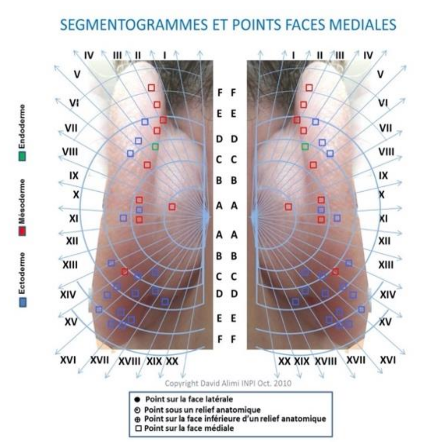 Medicines 09 00013 g006 550