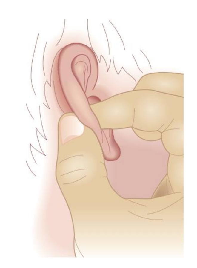 Medicines 09 00013 g009 550