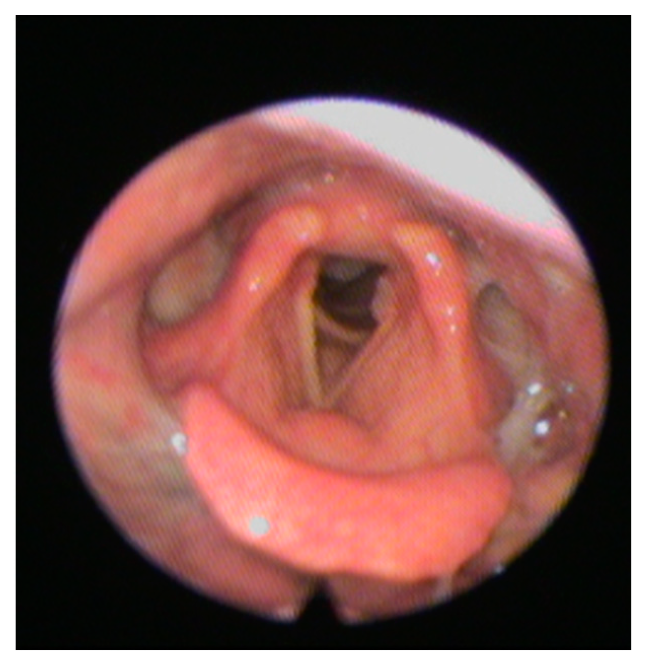 Medicines 09 00016 g002