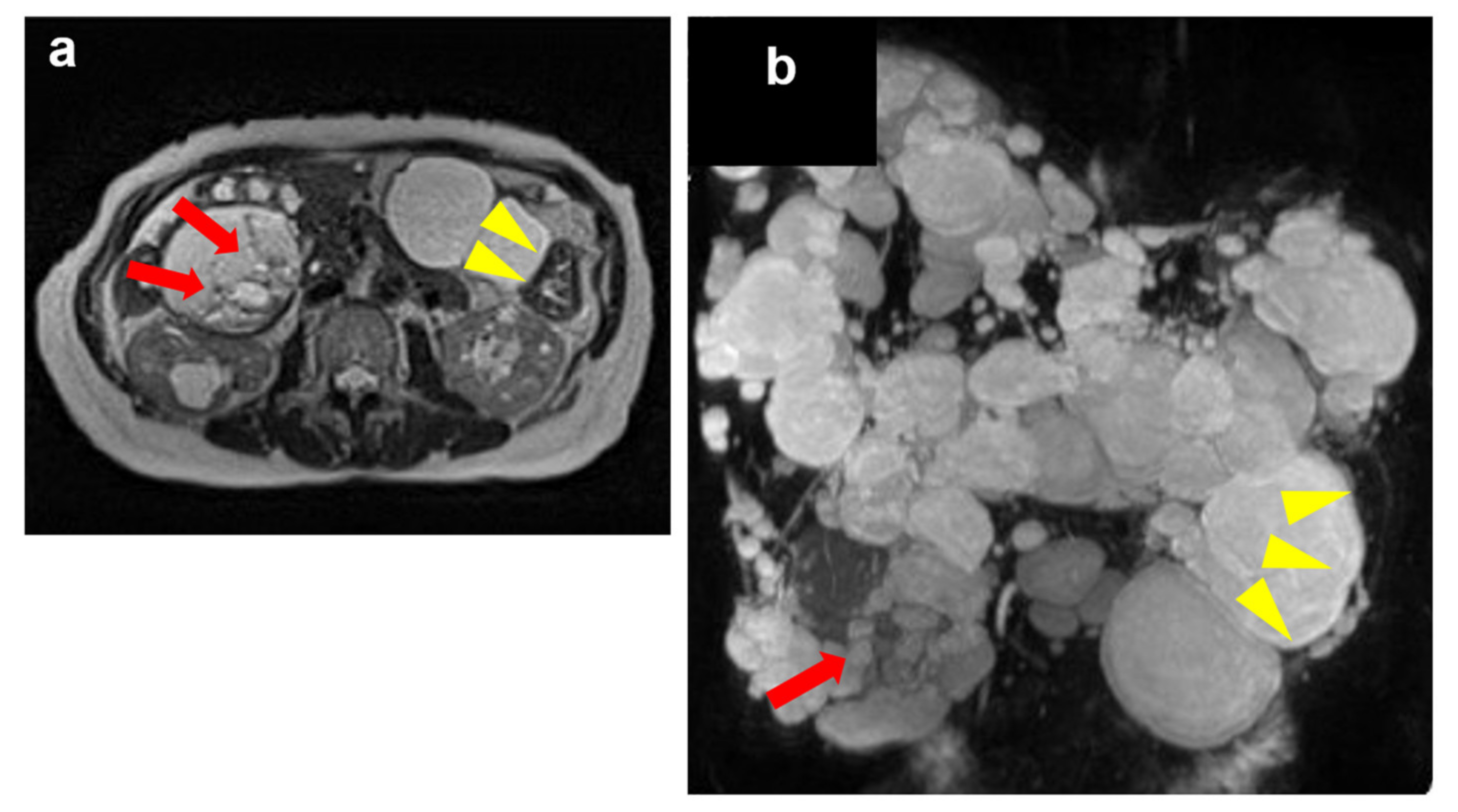 Medicines 09 00025 g001