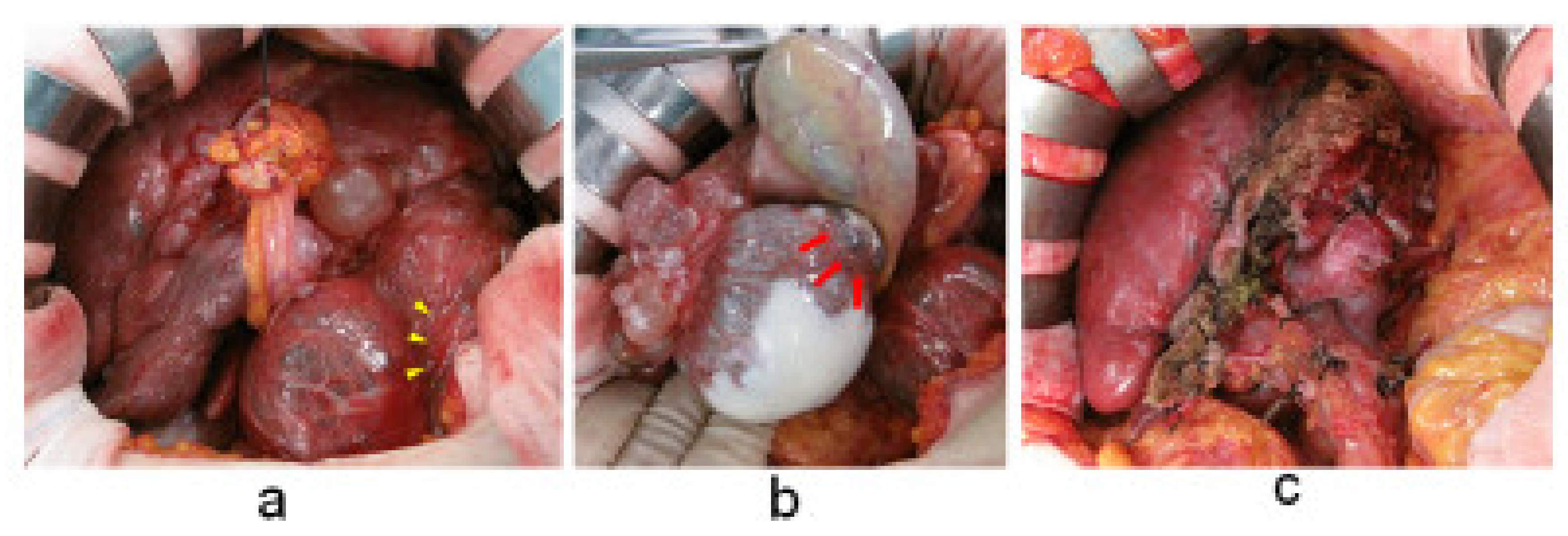 Medicines 09 00025 g002