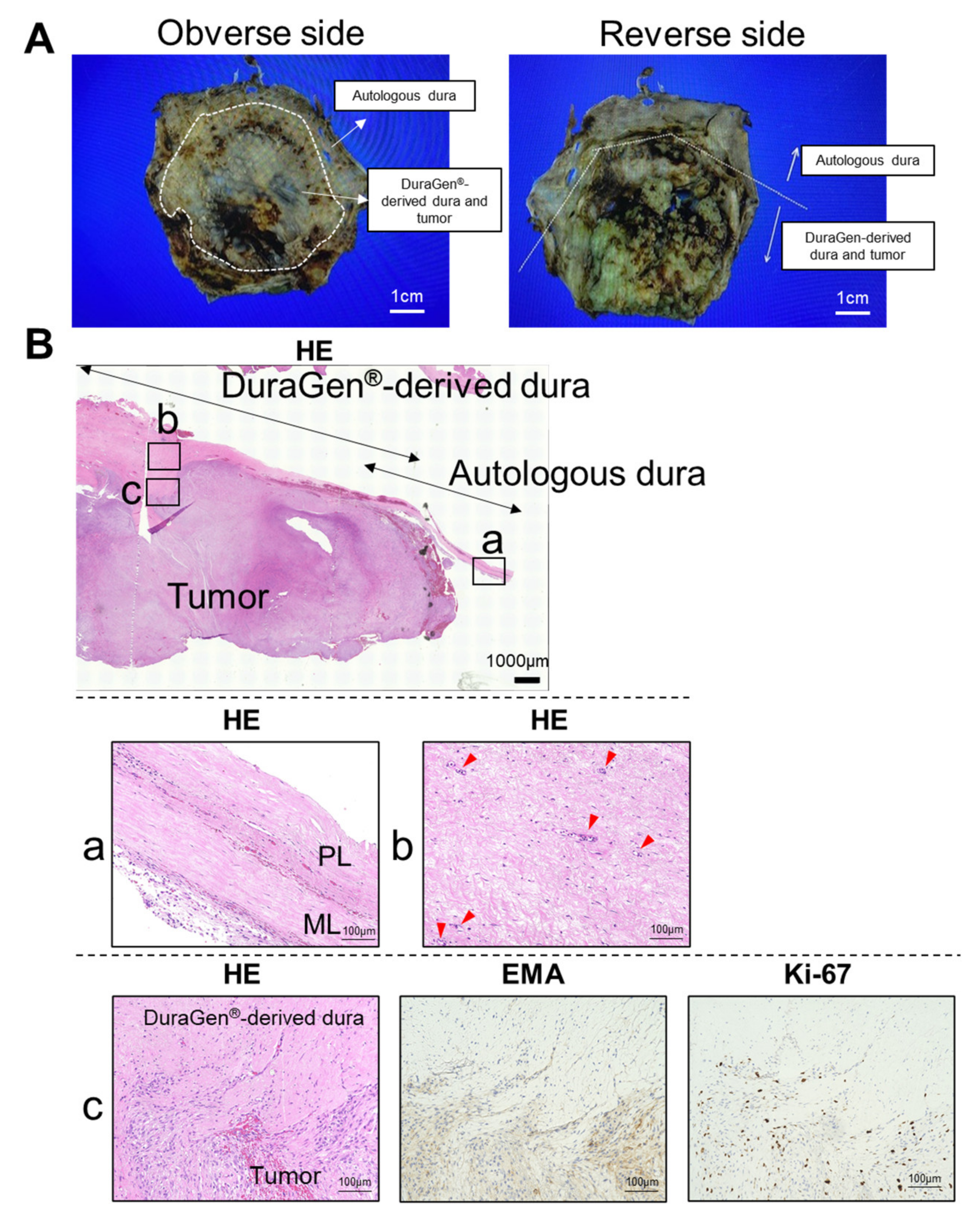 Medicines 09 00030 g003 550