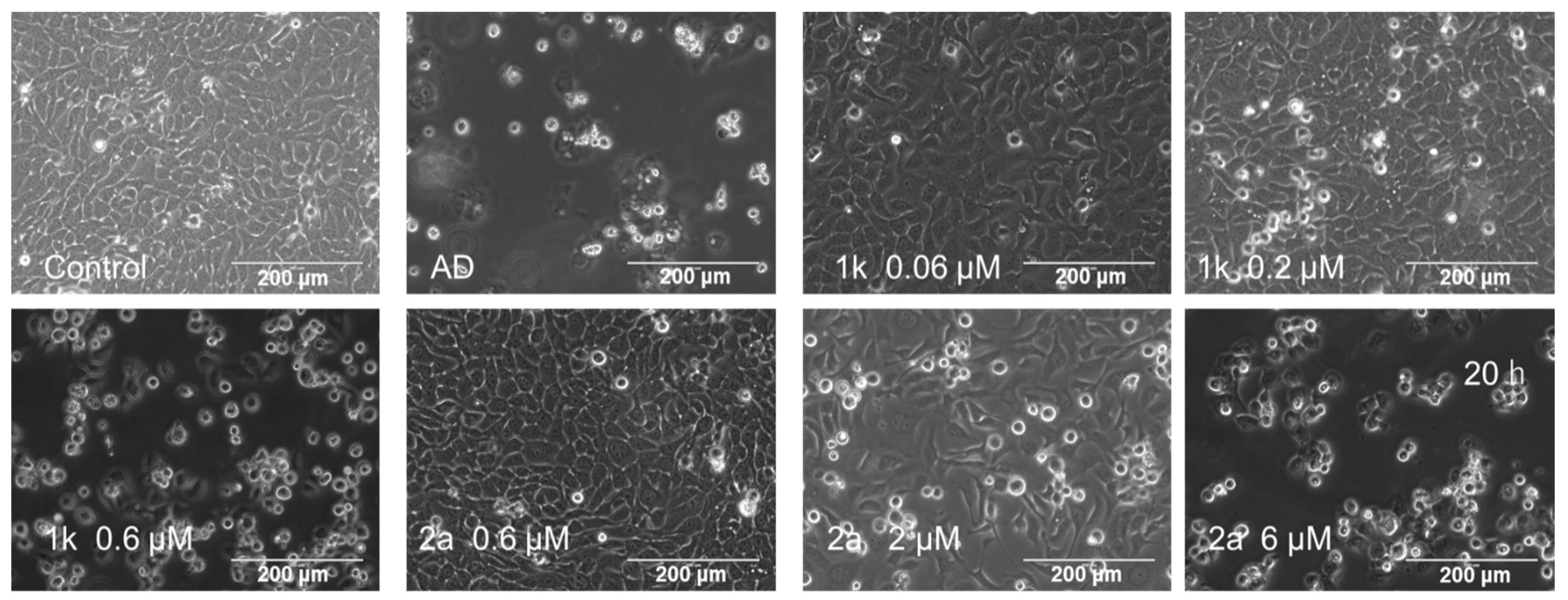 Medicines 09 00035 g004 550
