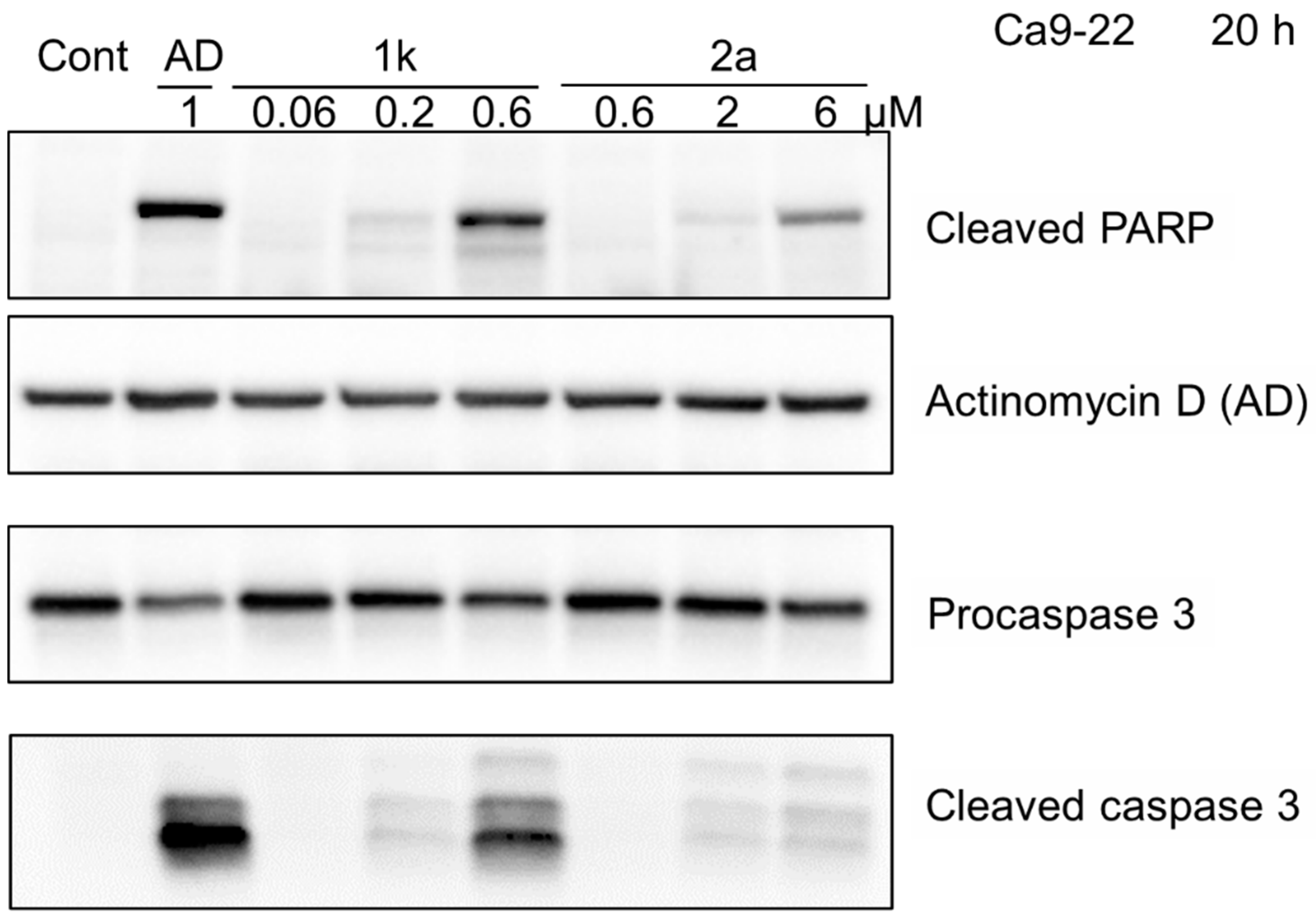 Medicines 09 00035 g005 550