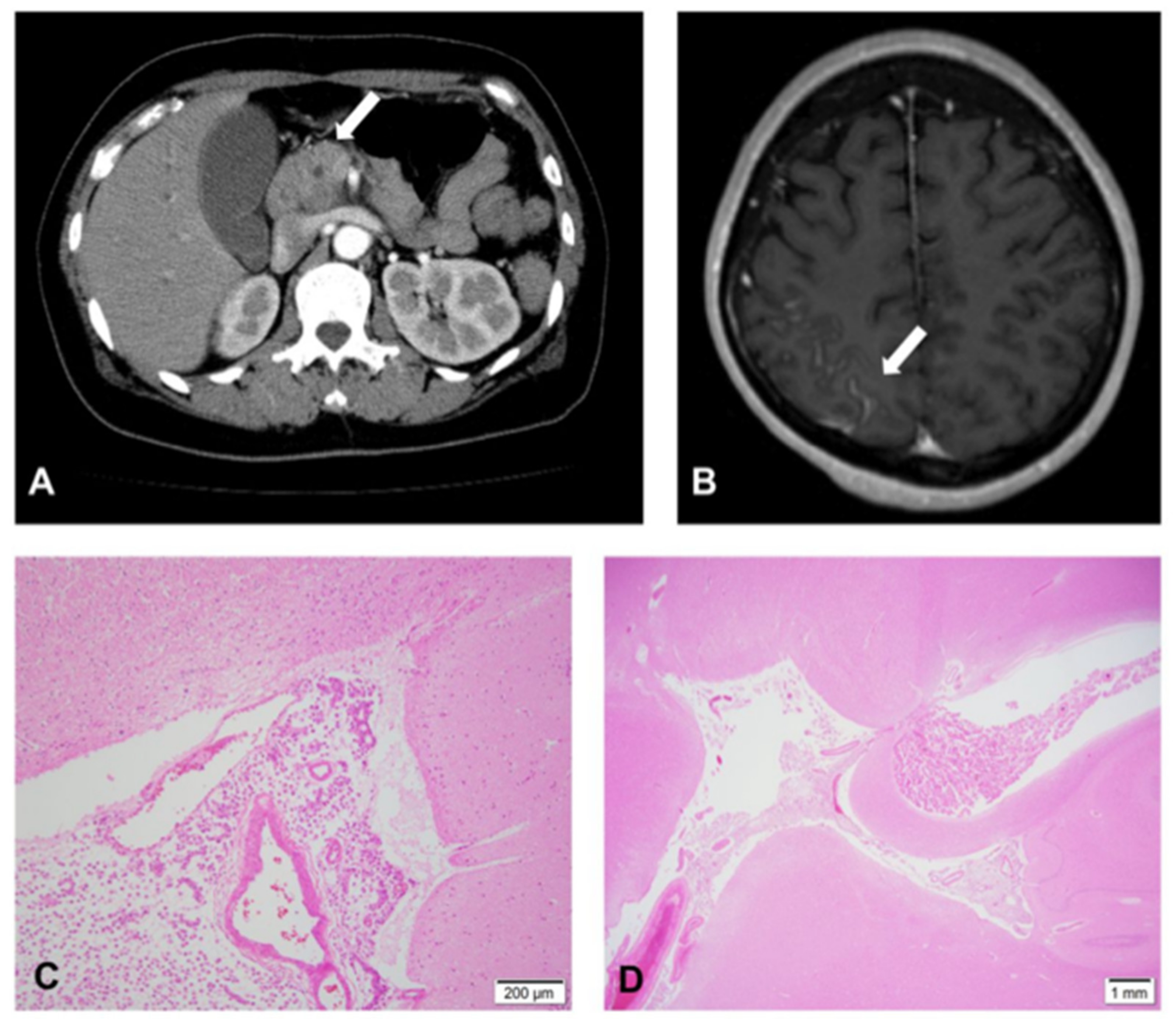 Medicines 09 00039 g001 550