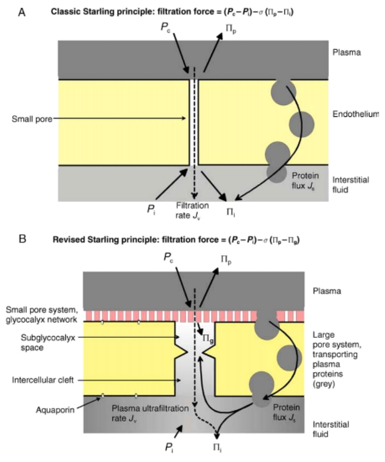 Medicines 09 00041 g001 550