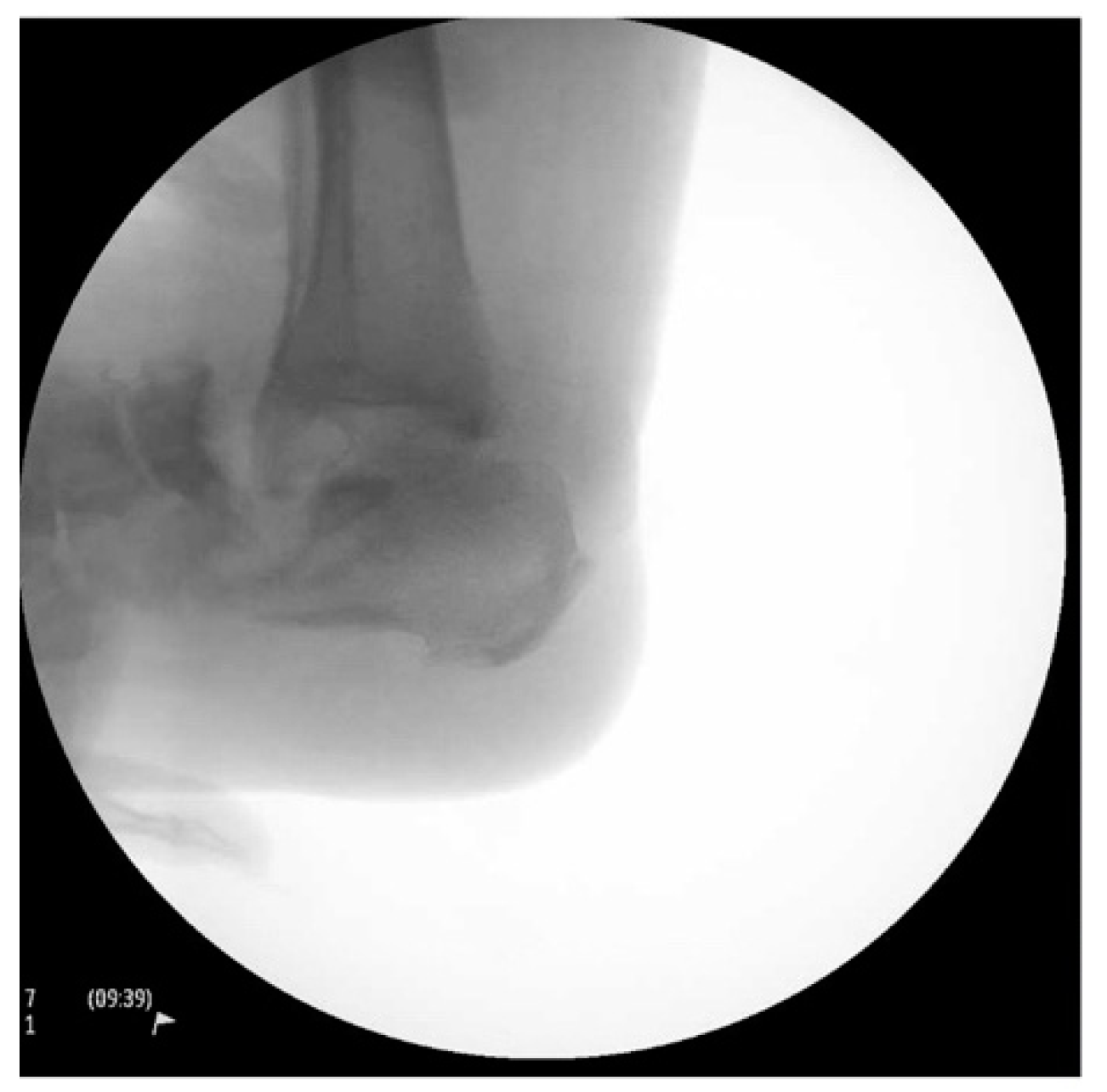 Medicines 09 00061 g004