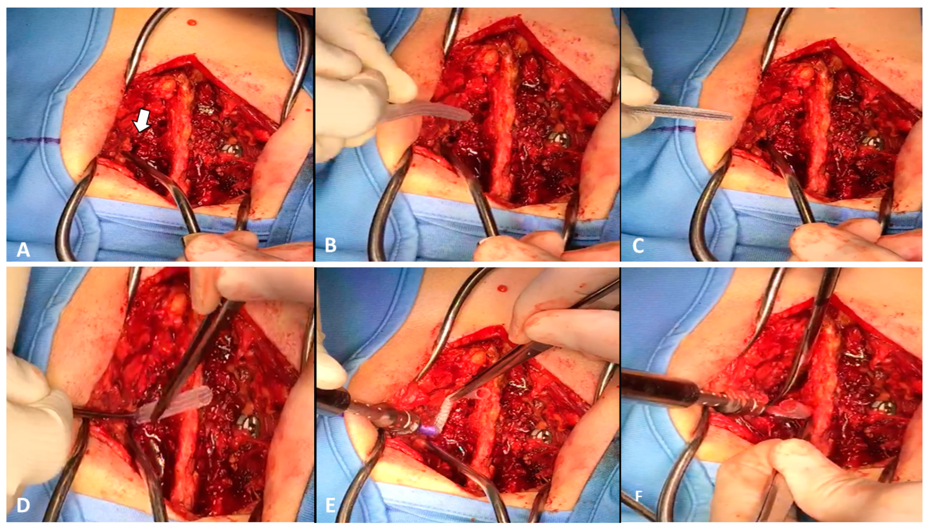 Medicines 10 00006 g004 Medicines 10 00006 g004