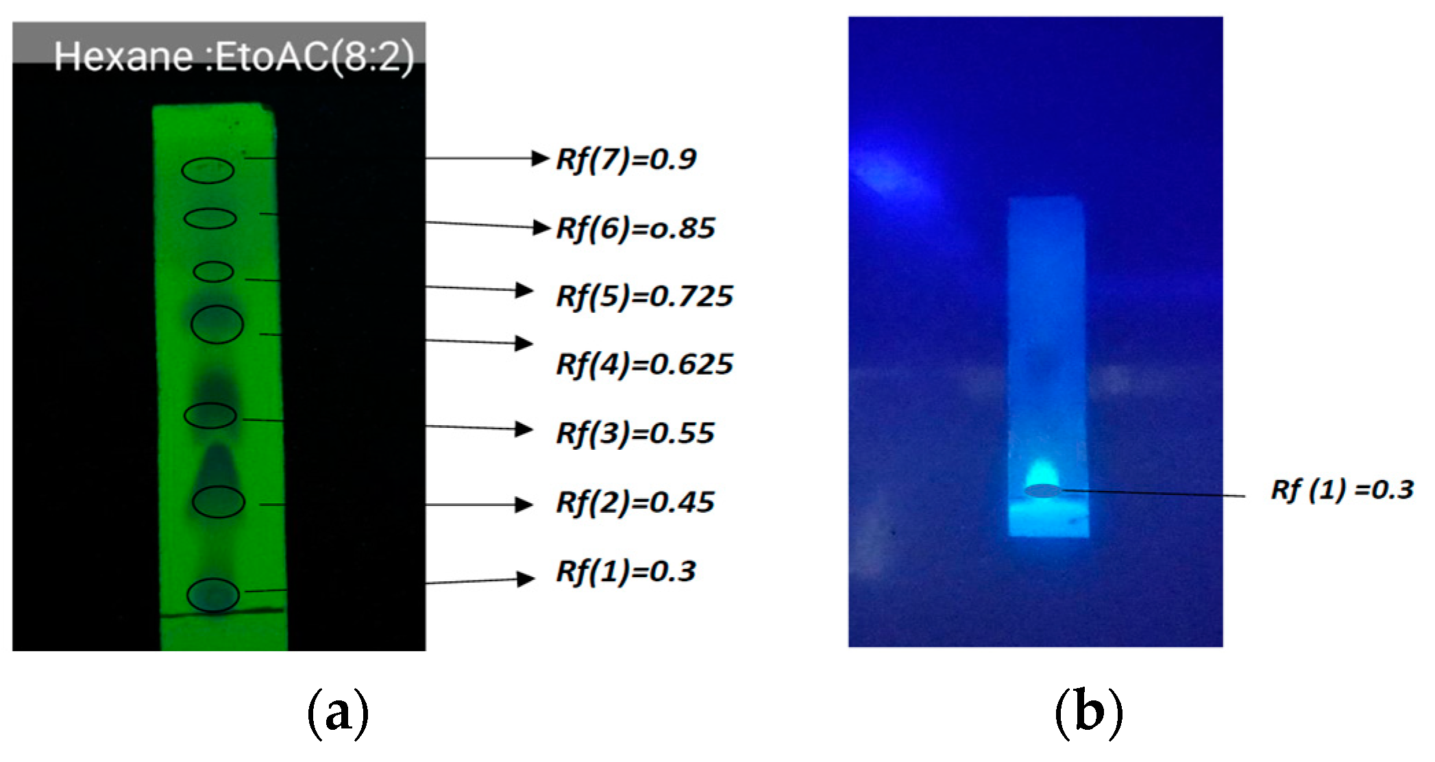Medicines 10 00034 g003