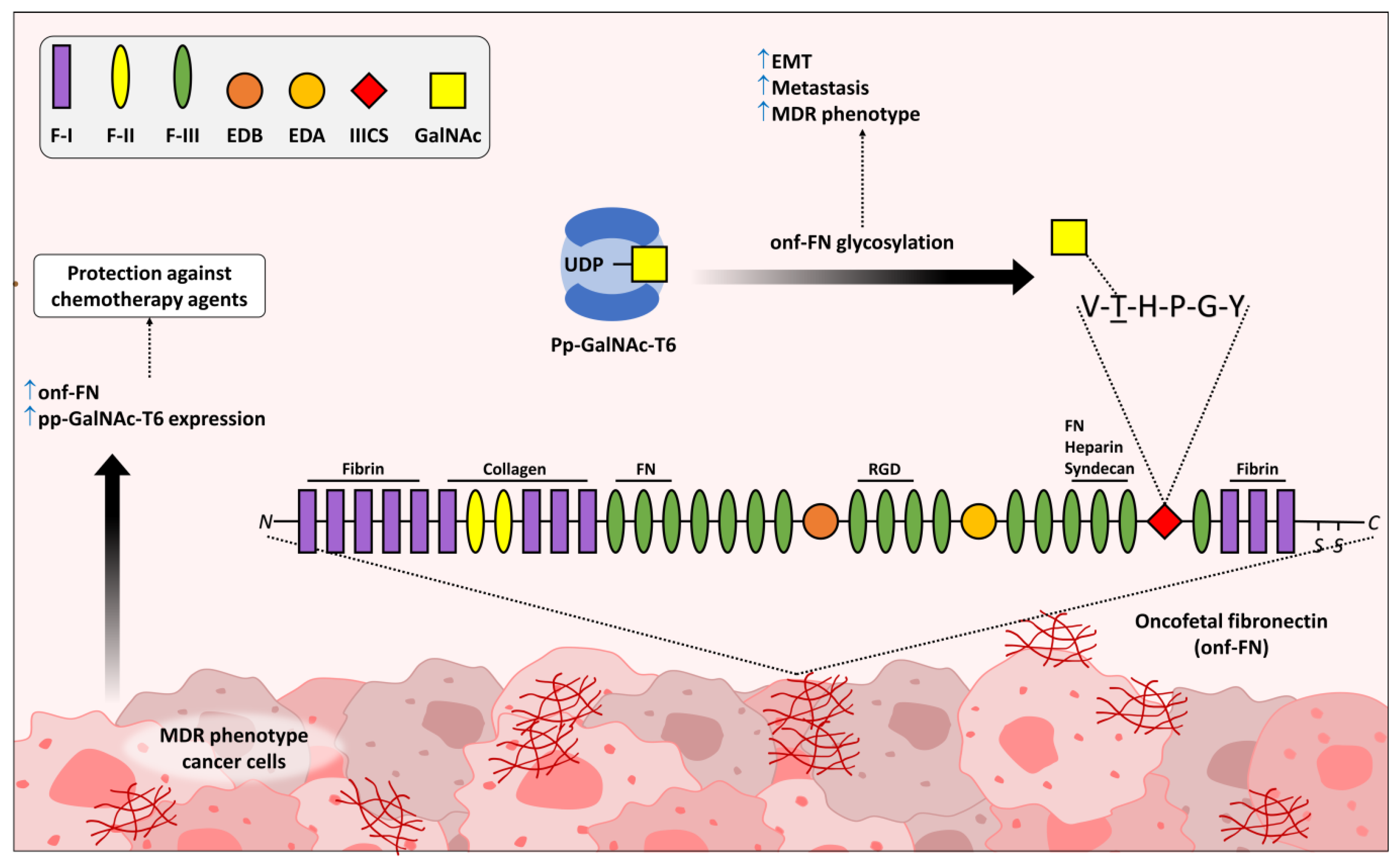 Medicines 10 00036 g002 Medicines 10 00036 g002