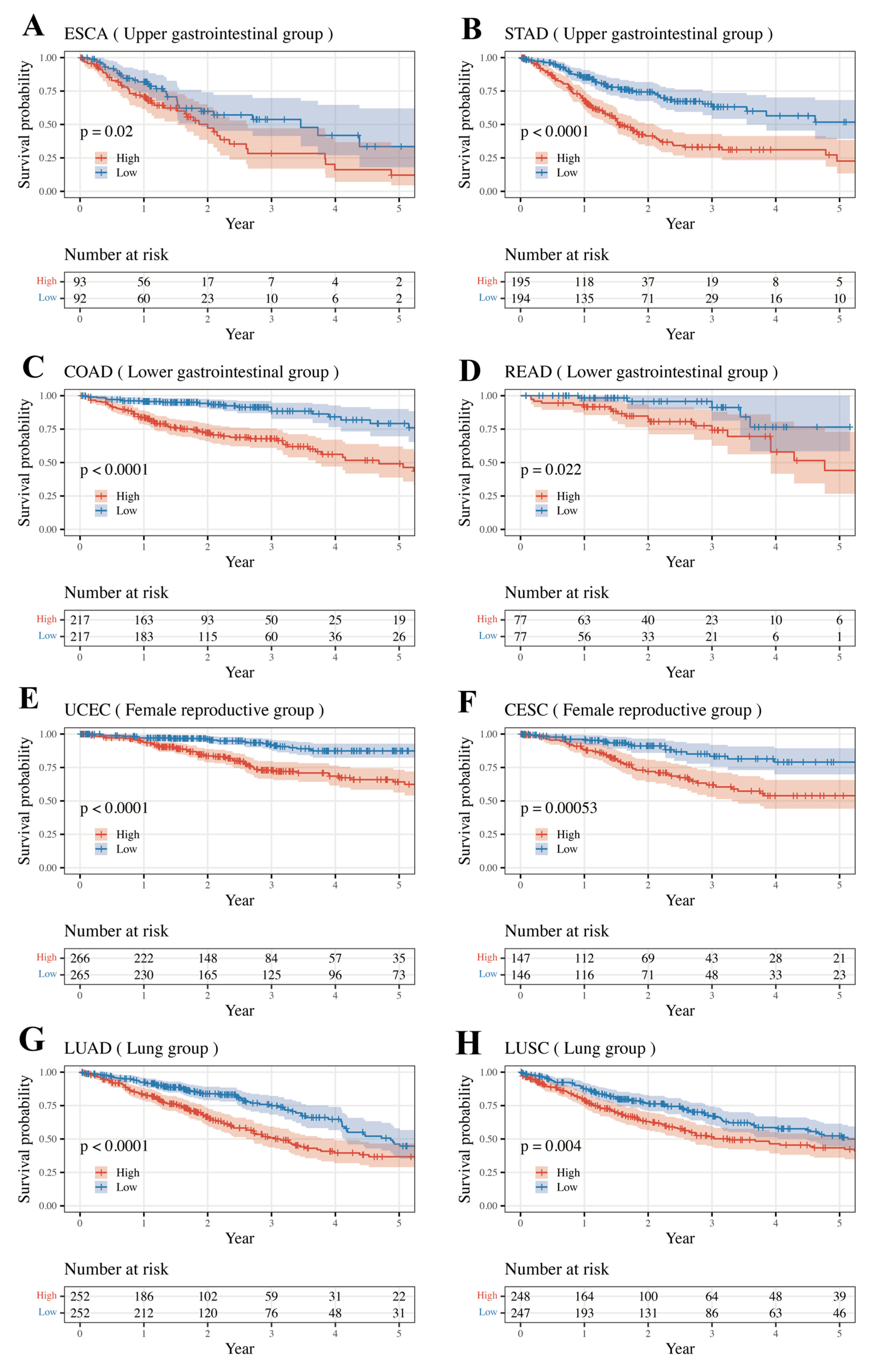 Medicines 11 00002 g003
