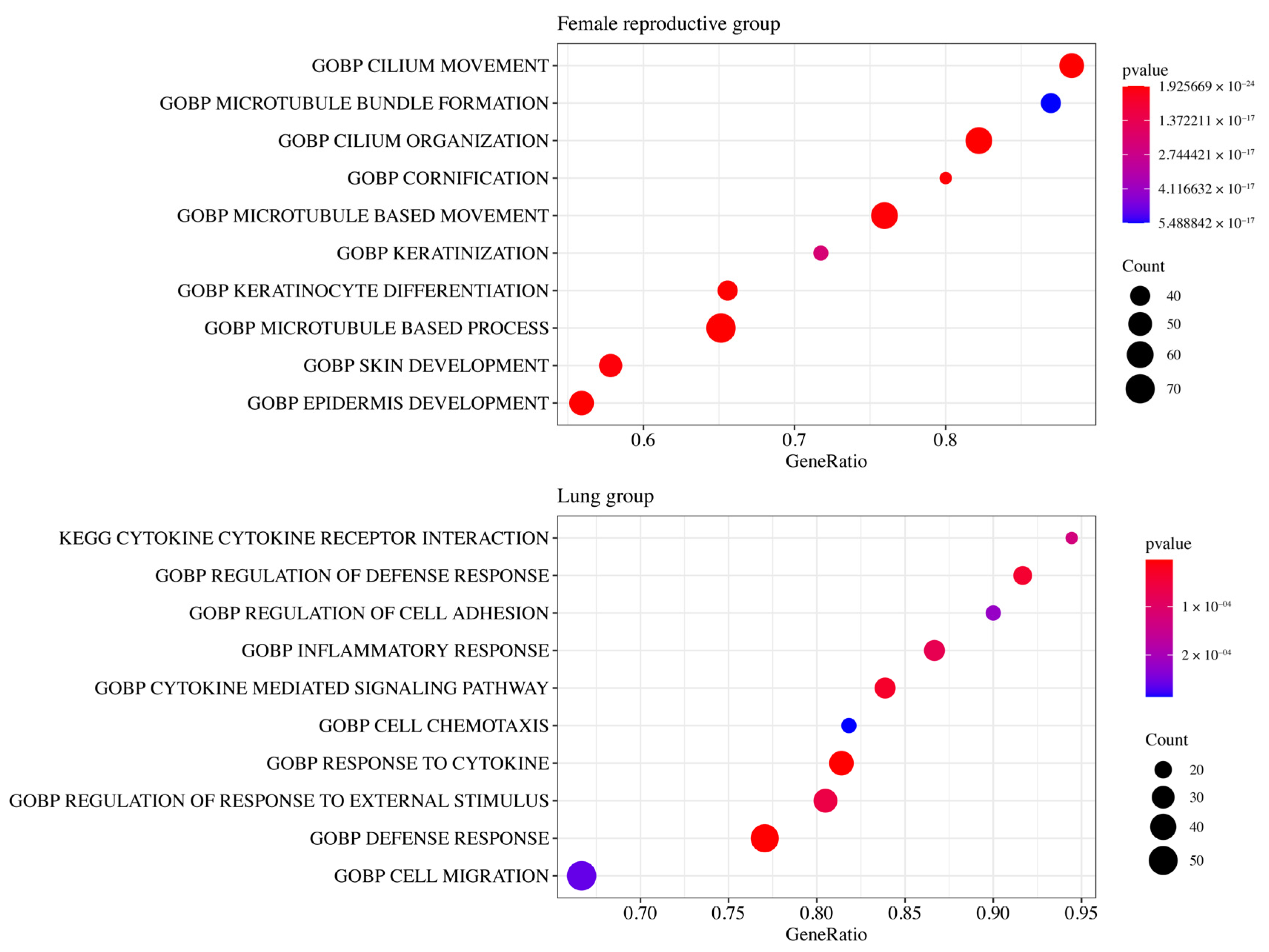 Medicines 11 00002 g005