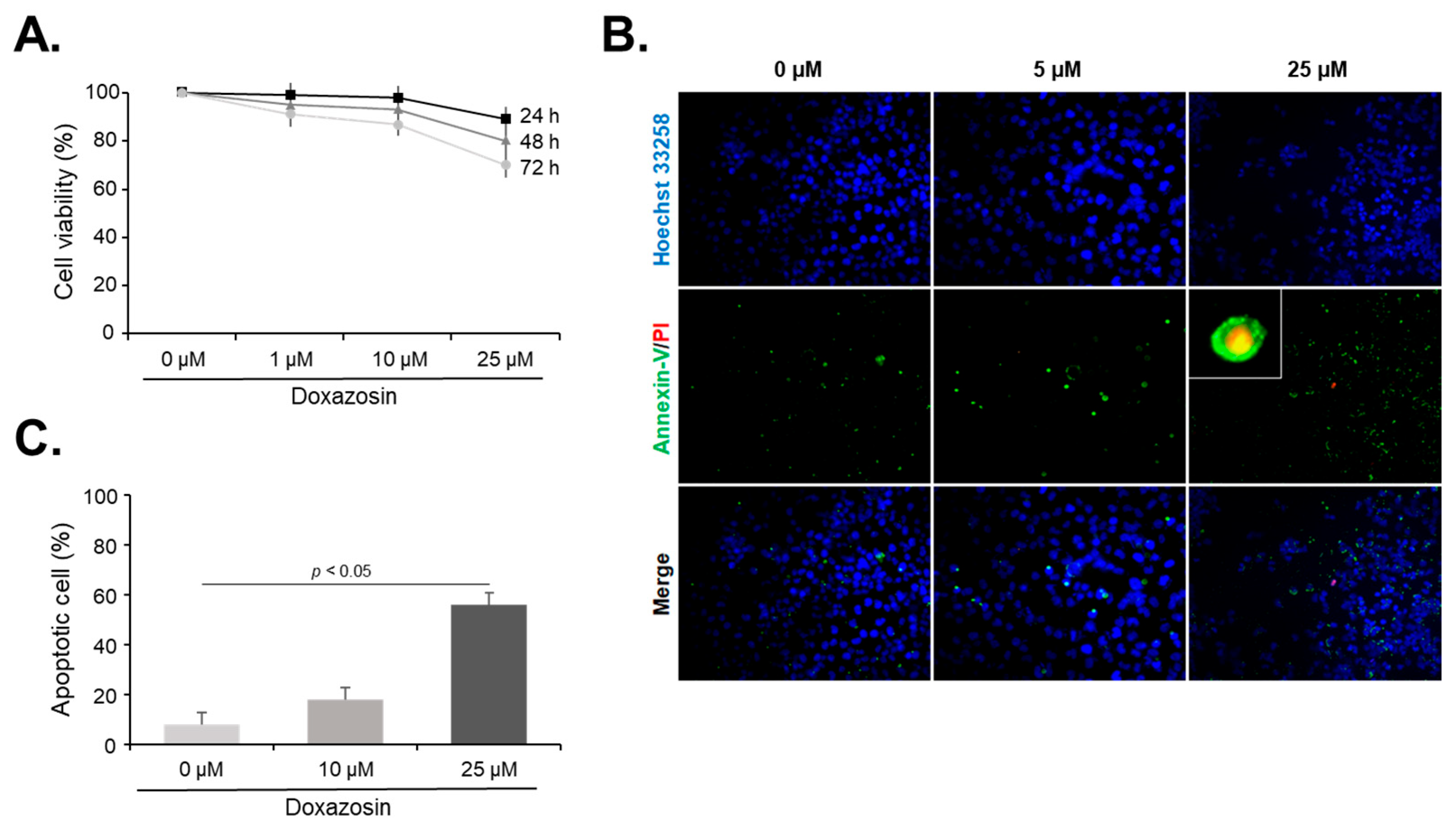 Medicines 11 00007 g001 Medicines 11 00007 g001
