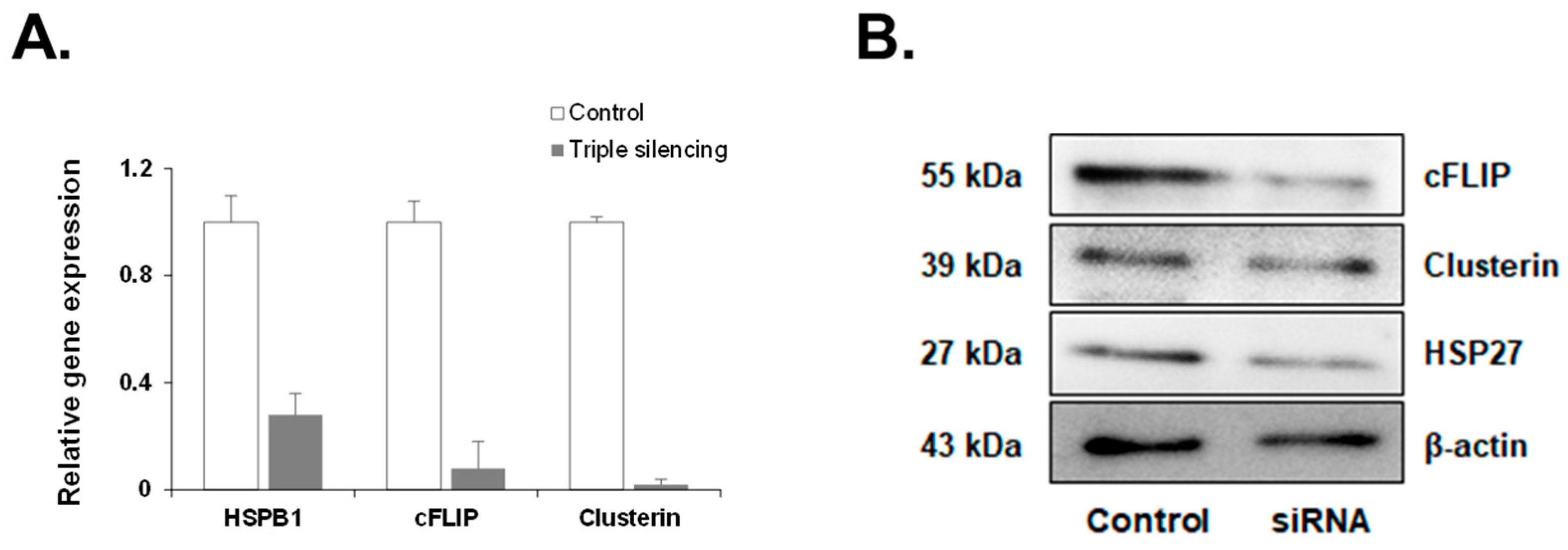 Medicines 11 00007 g003 Medicines 11 00007 g003