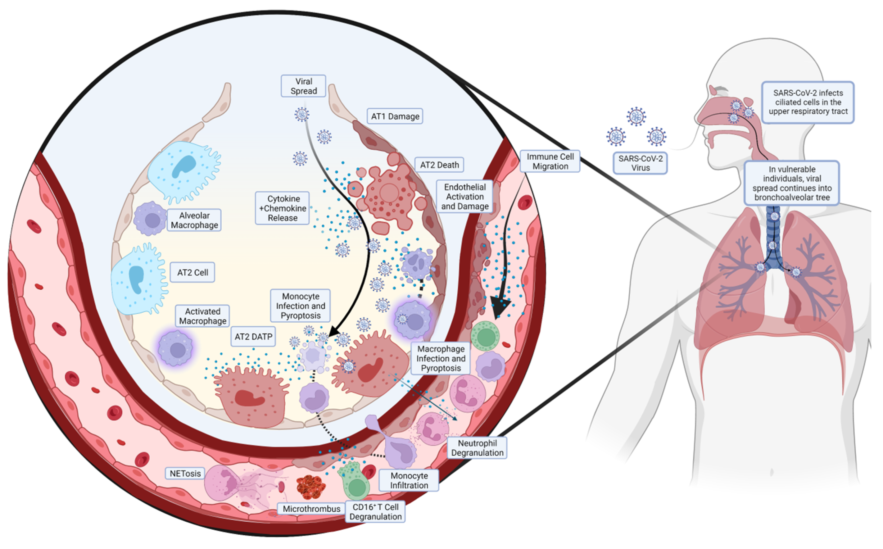 Medicines 11 00014 g001 Medicines 11 00014 g001