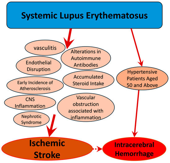 Lupus Non Systemic