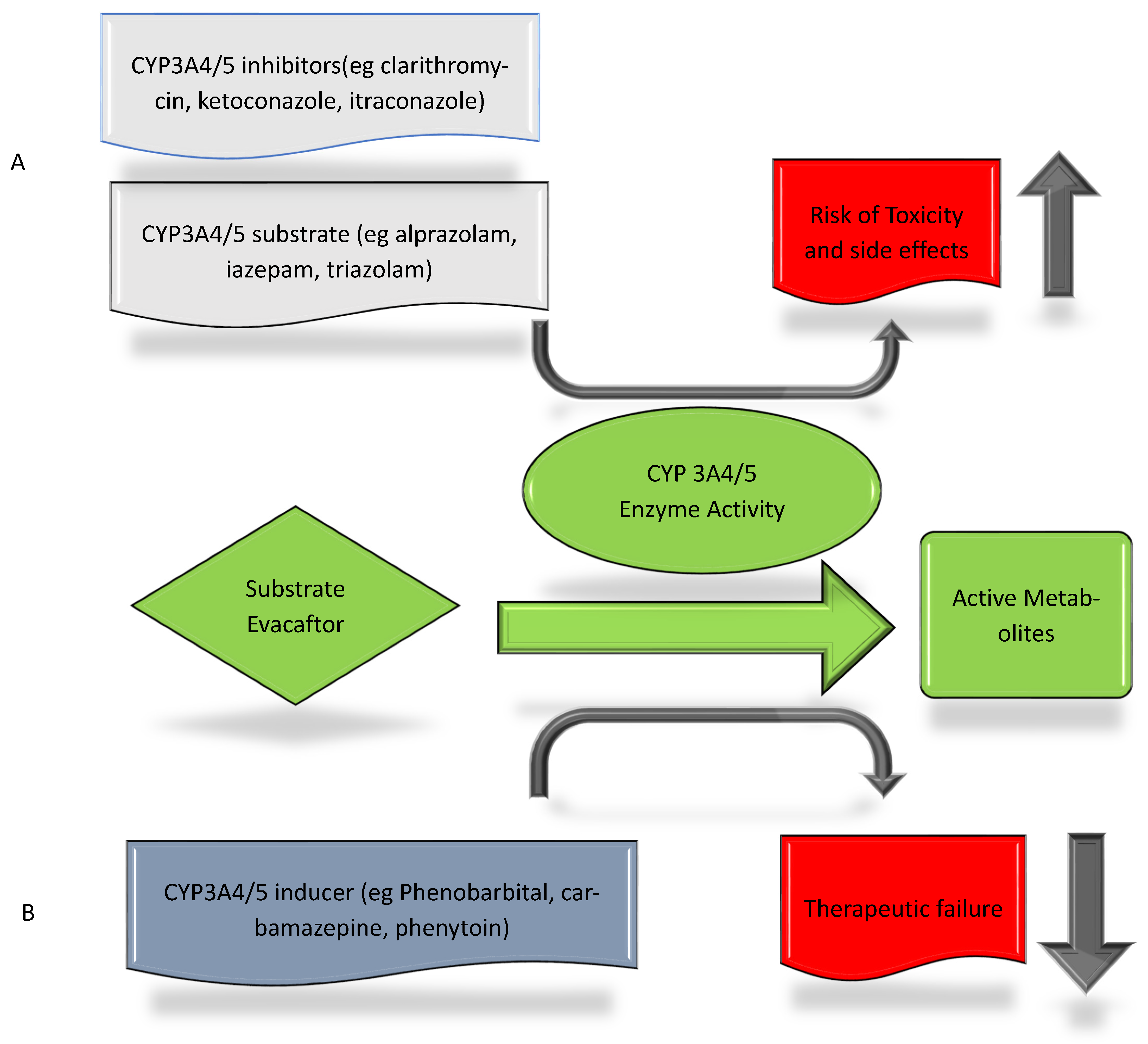 Medicines 12 00001 g002