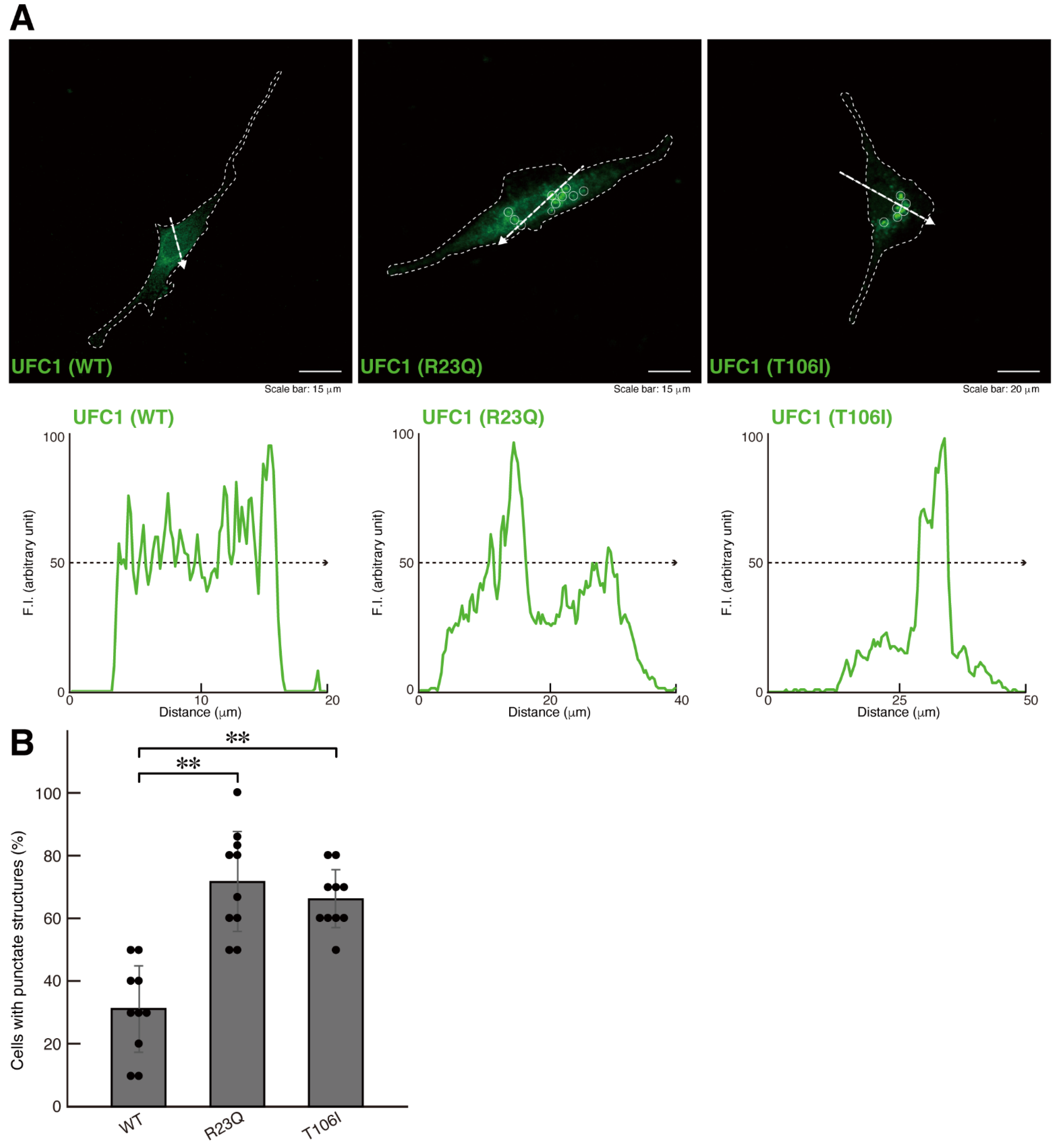 Medicines 12 00002 g001