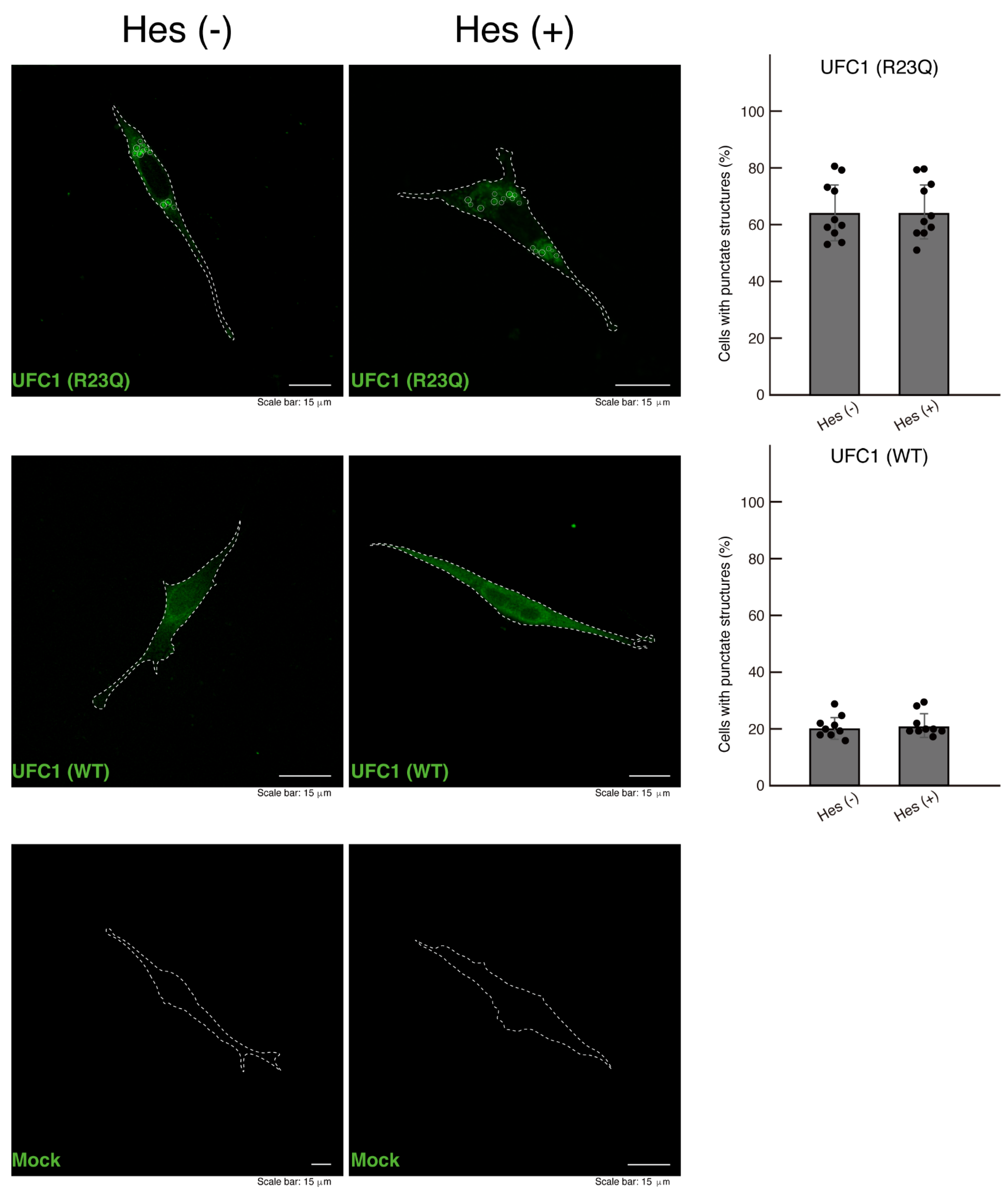 Medicines 12 00002 g010