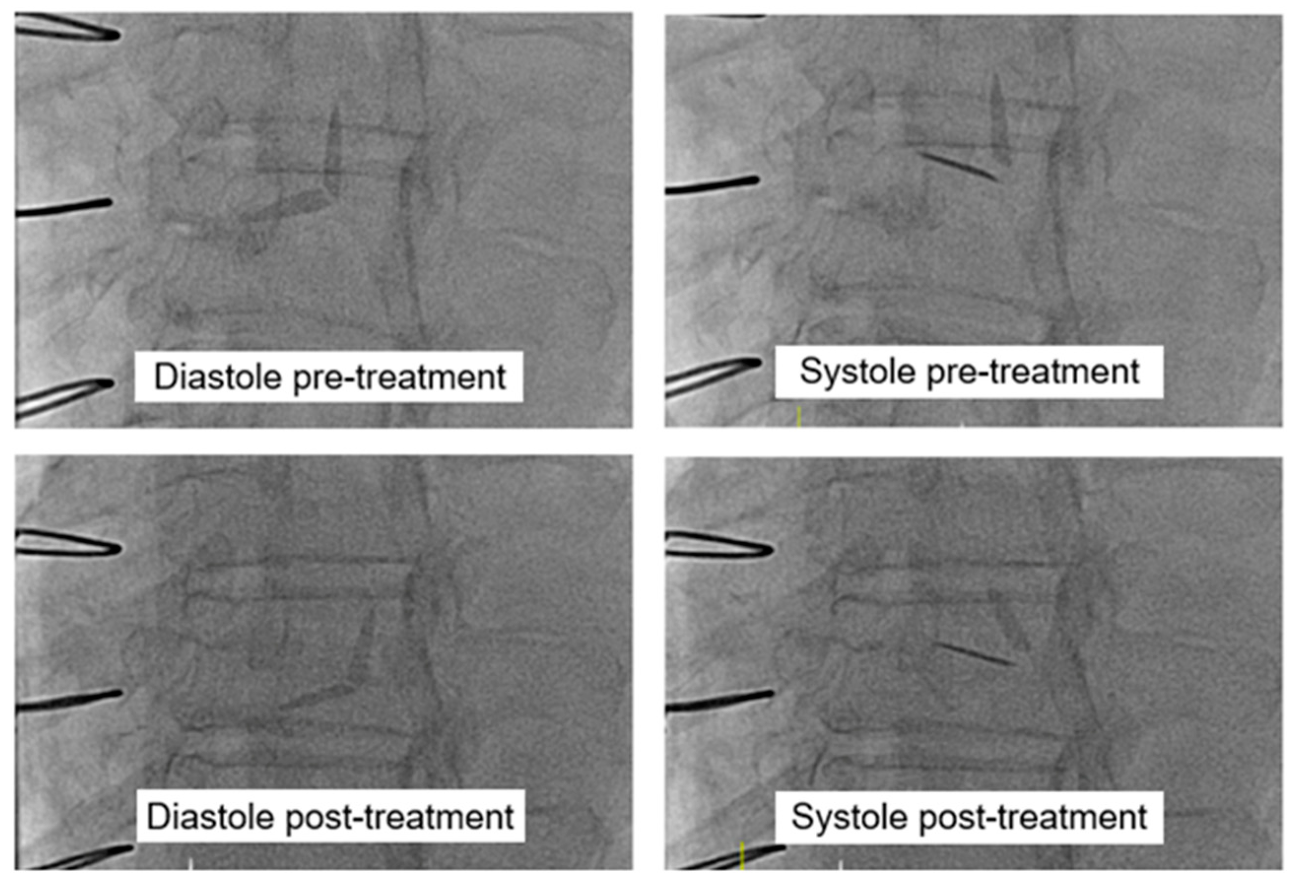 Medicines 12 00003 g004