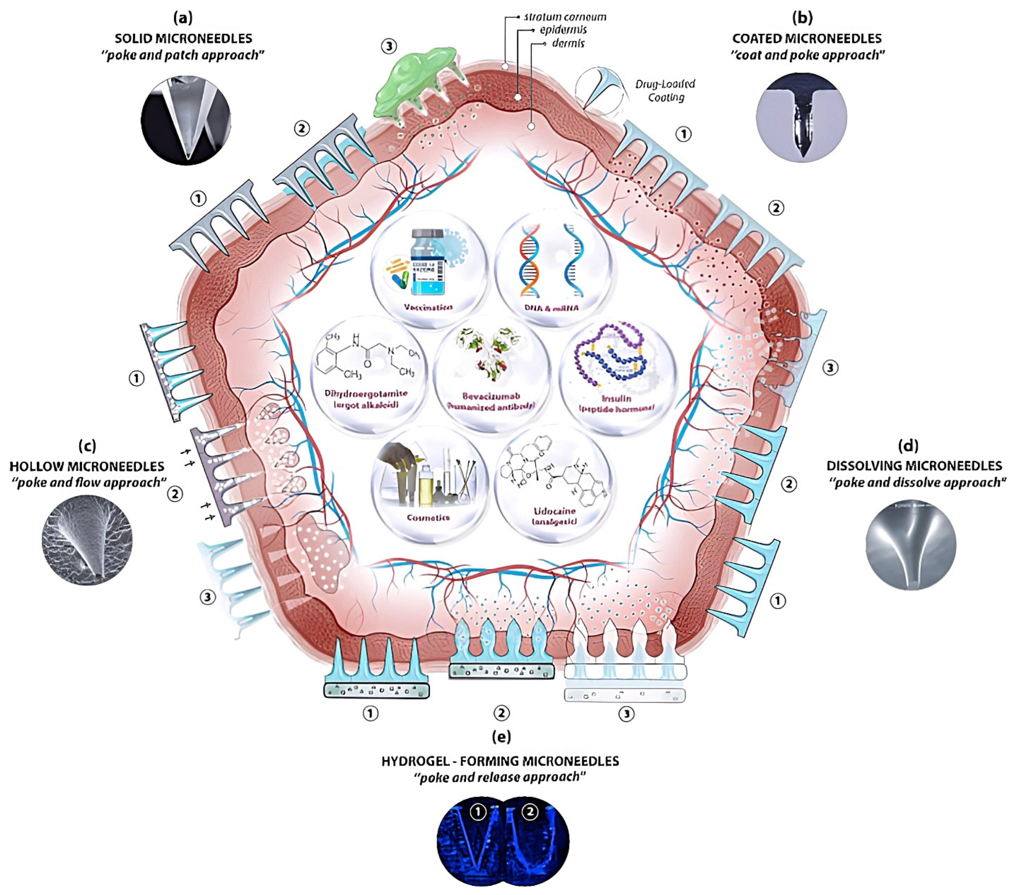 Medicines 12 00004 g004 Medicines 12 00004 g004