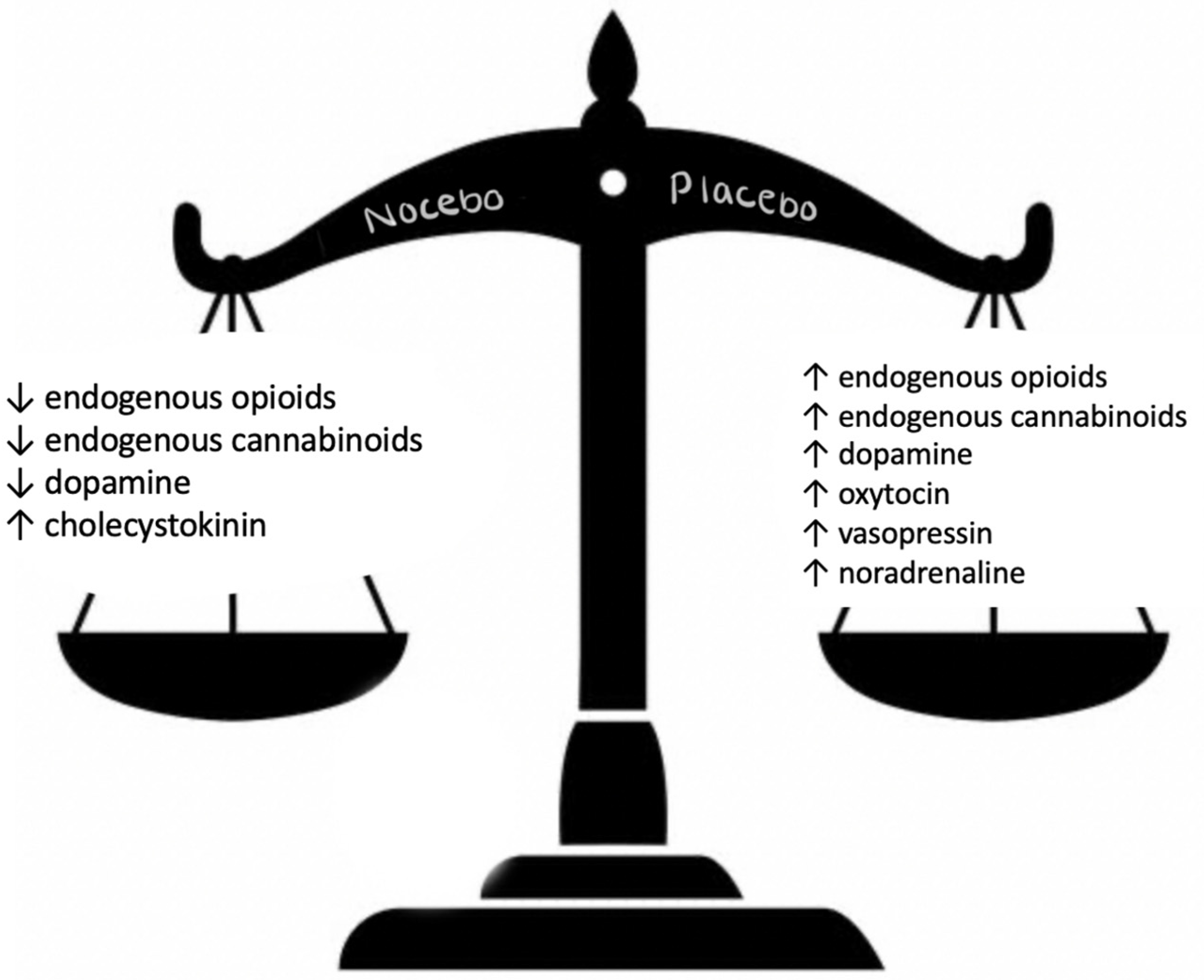 Medicines 12 00005 g003