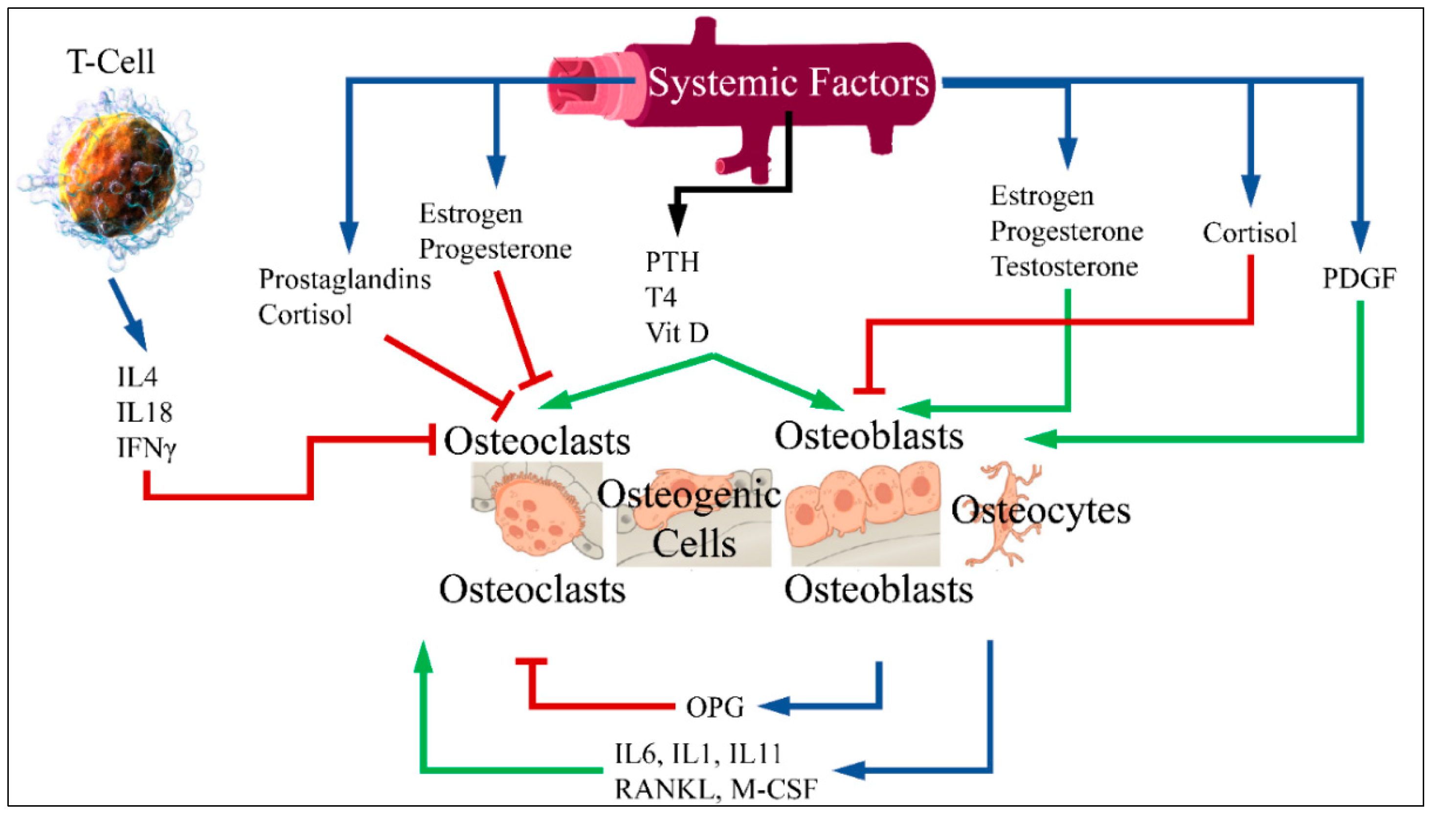 Medicines 12 00010 g001
