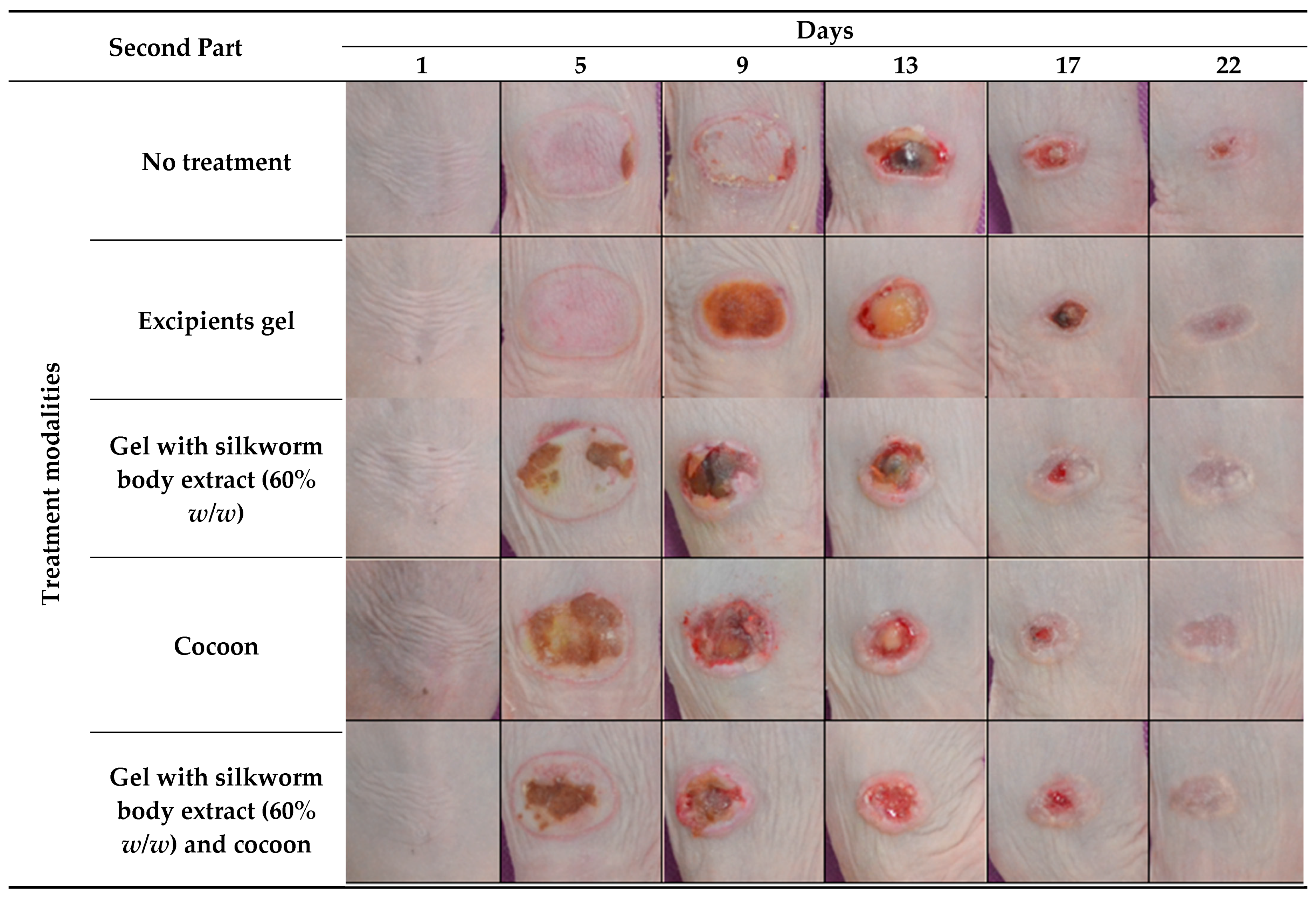 Medicines 12 00011 g002