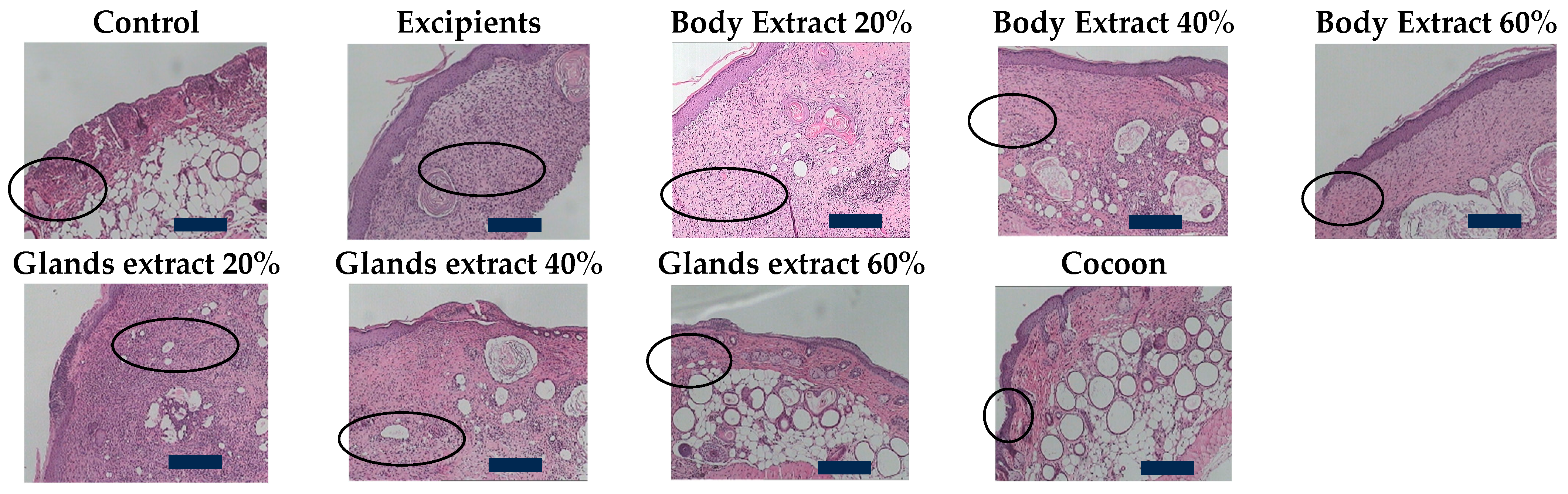 Medicines 12 00011 g007