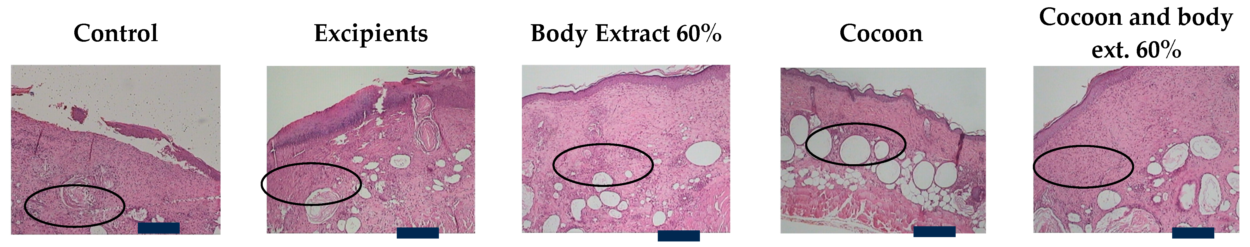 Medicines 12 00011 g008