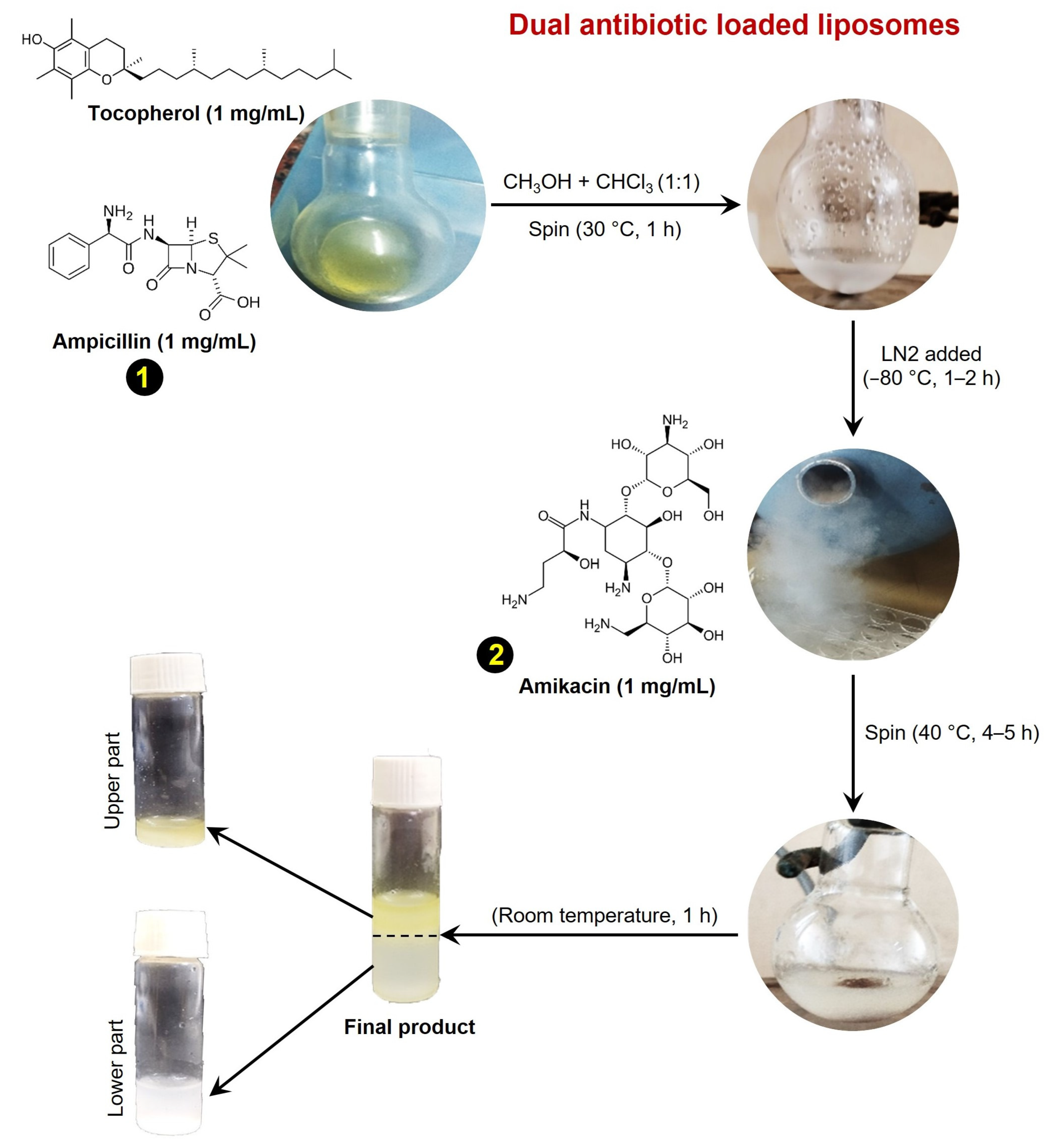 Medicines 12 00014 g001